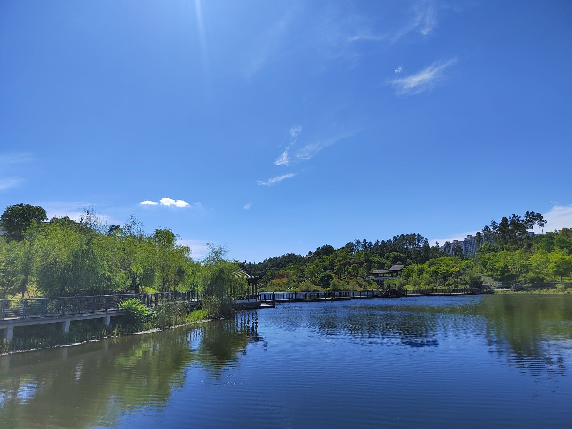 文博艺术公园旅行图片 2