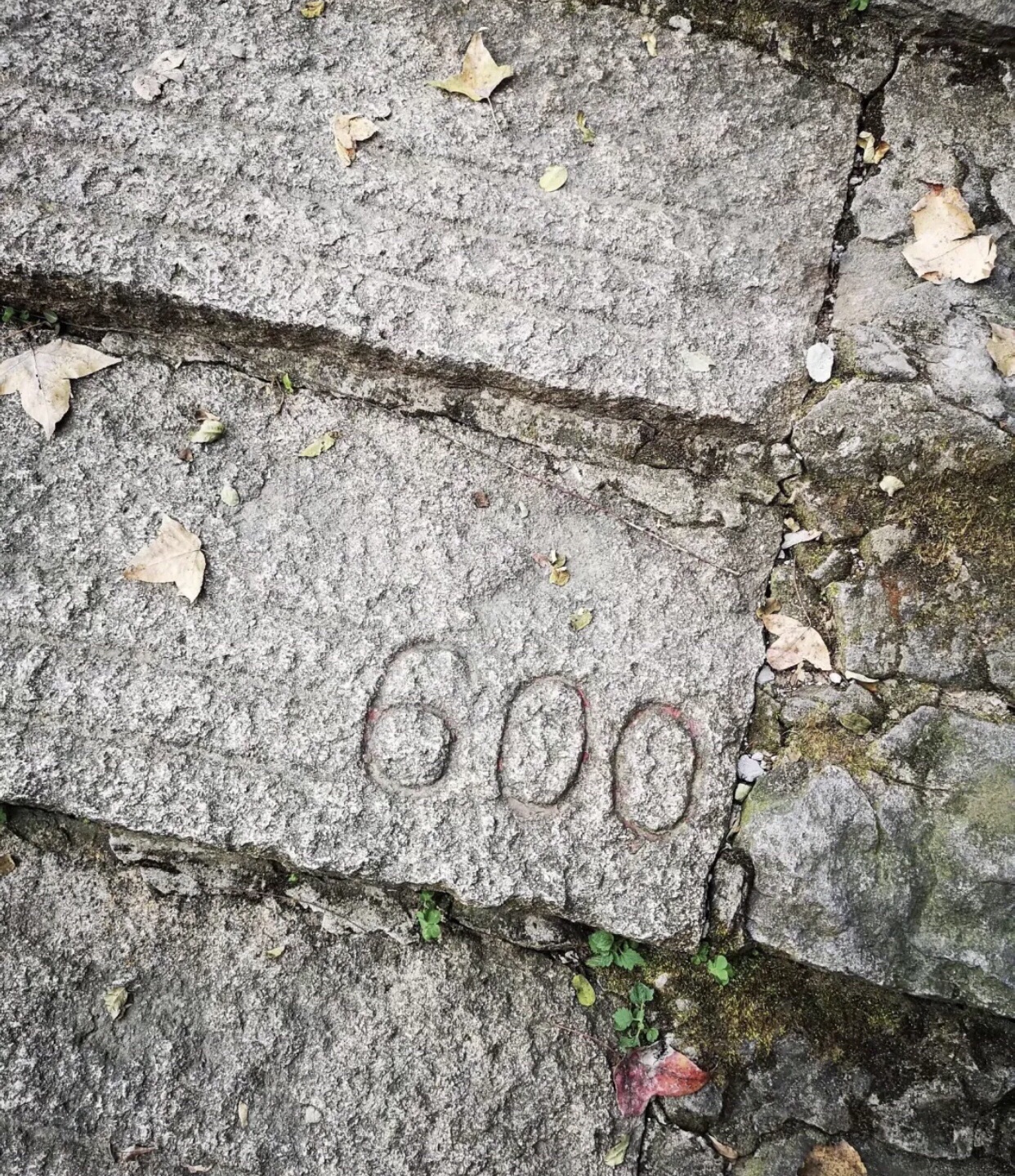 红枫古道旅行图片 2