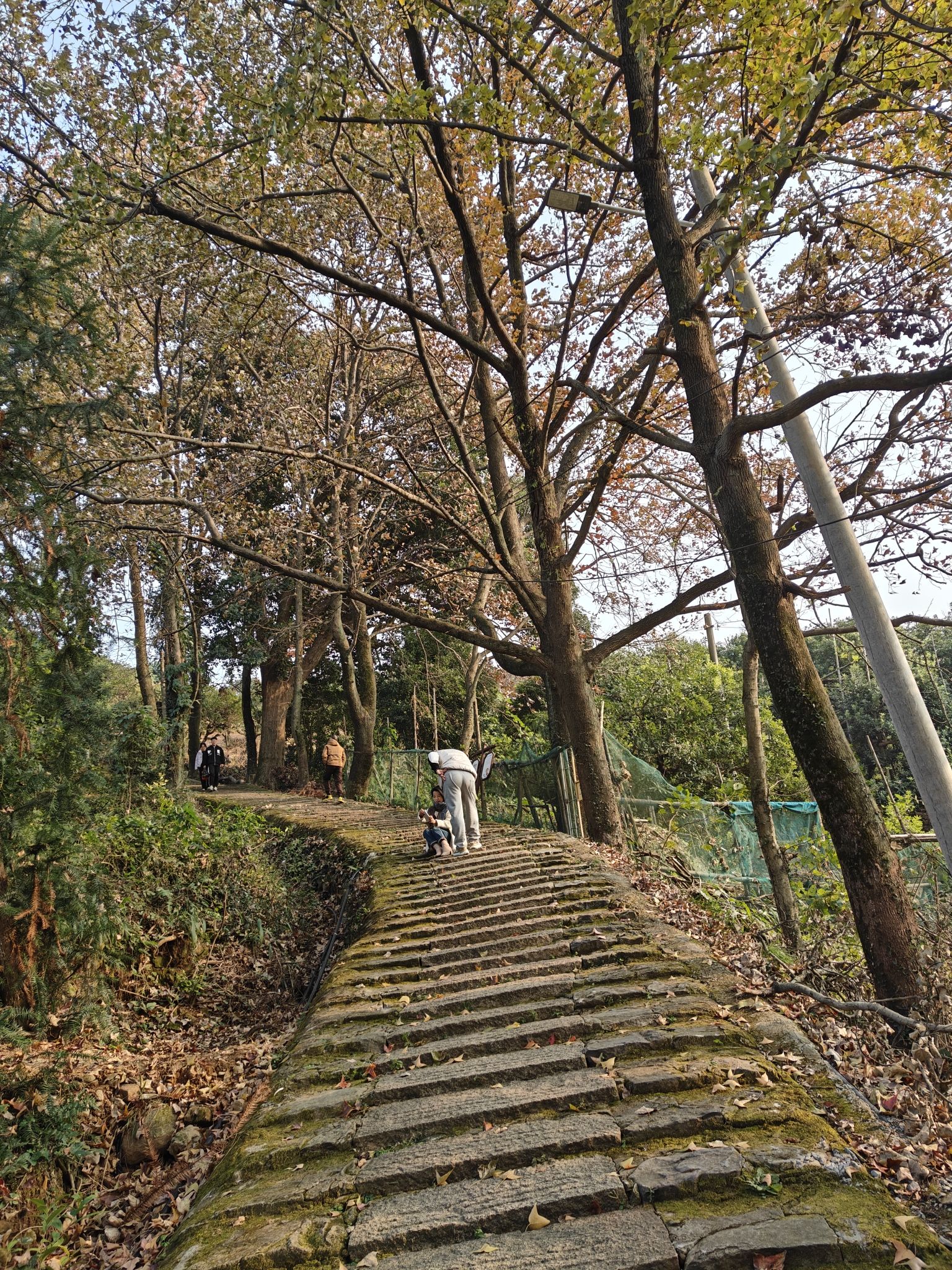 红枫古道旅行图片 2