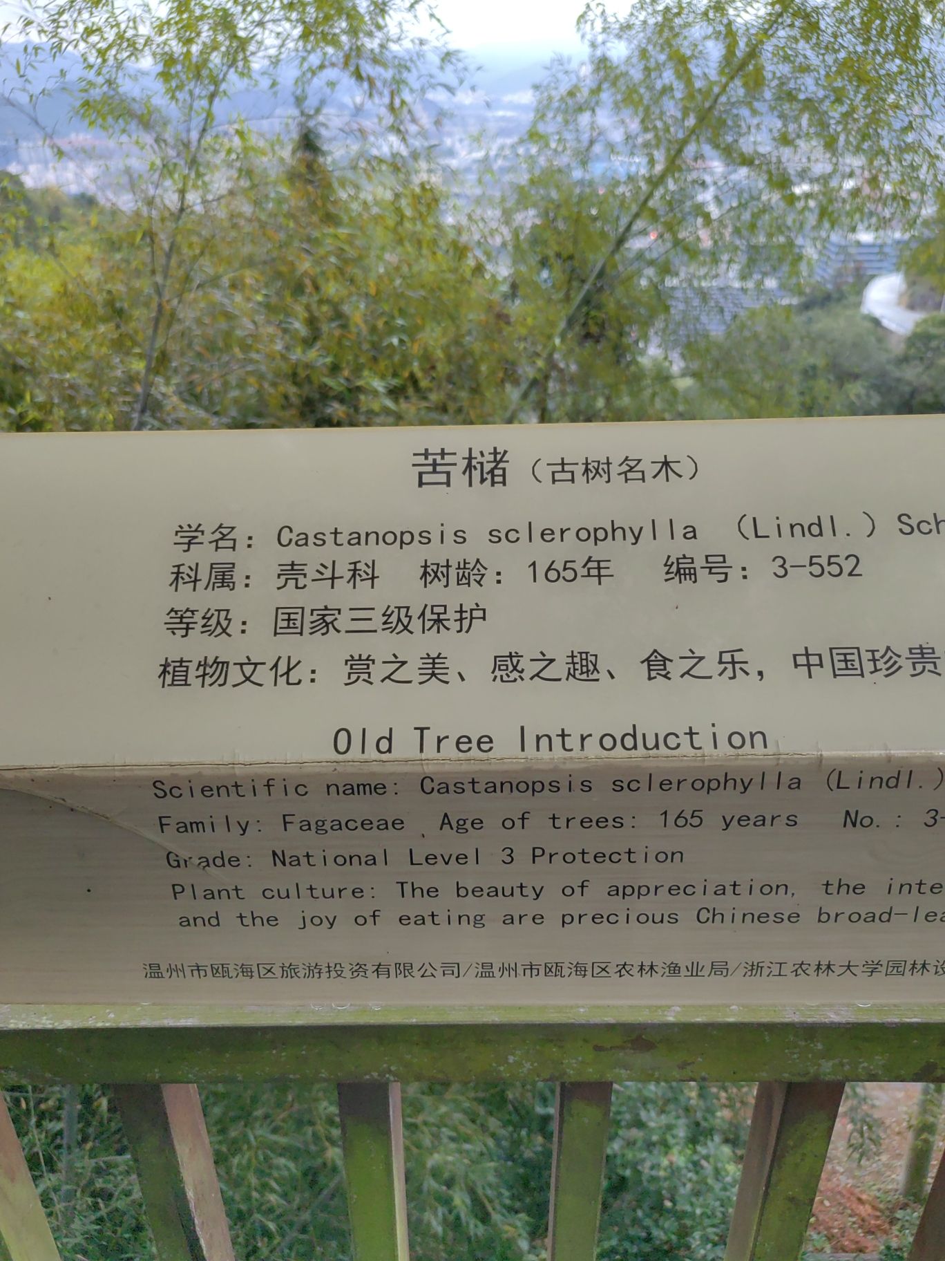 红枫古道旅行图片 3
