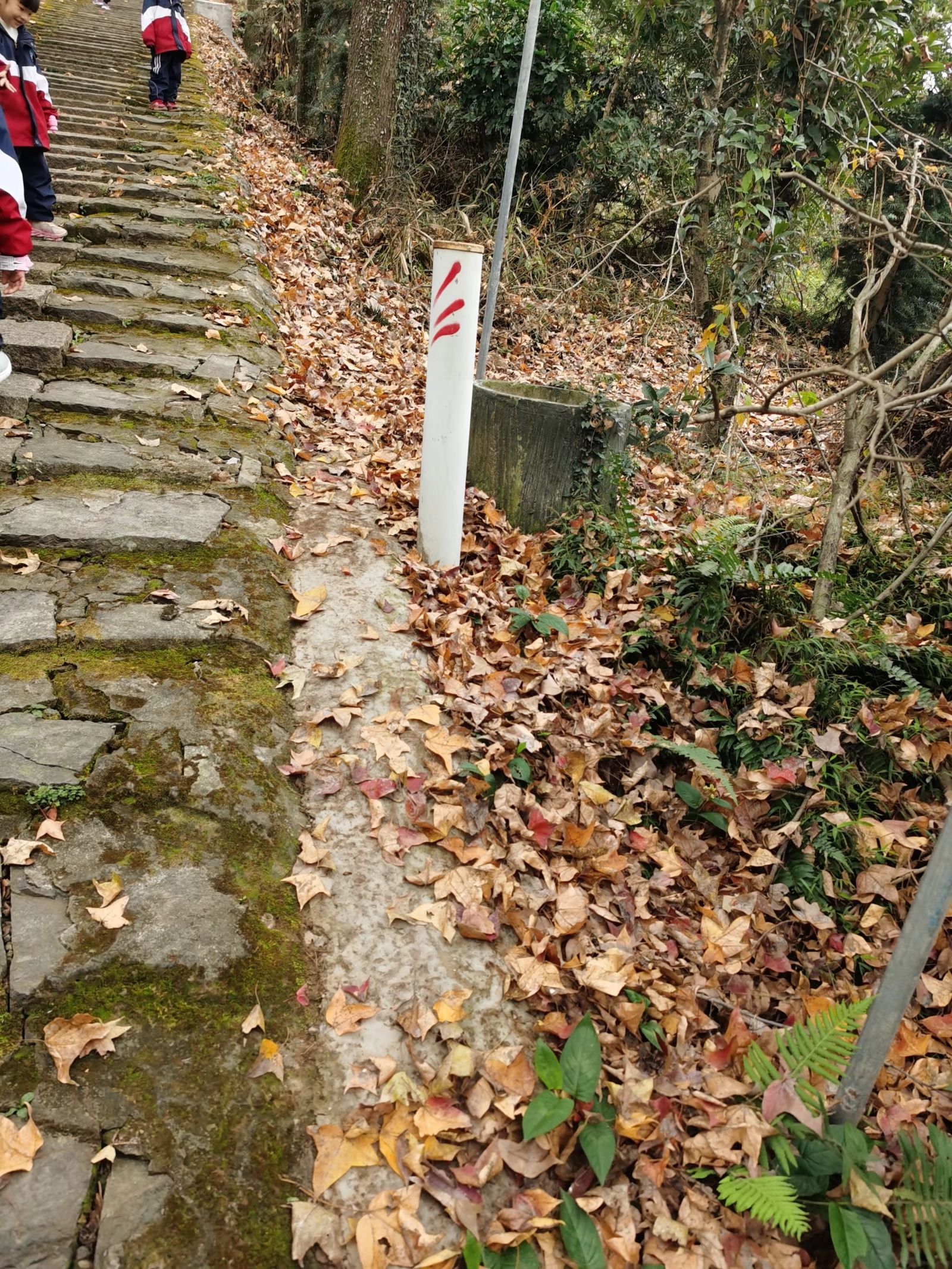 红枫古道旅行图片 1