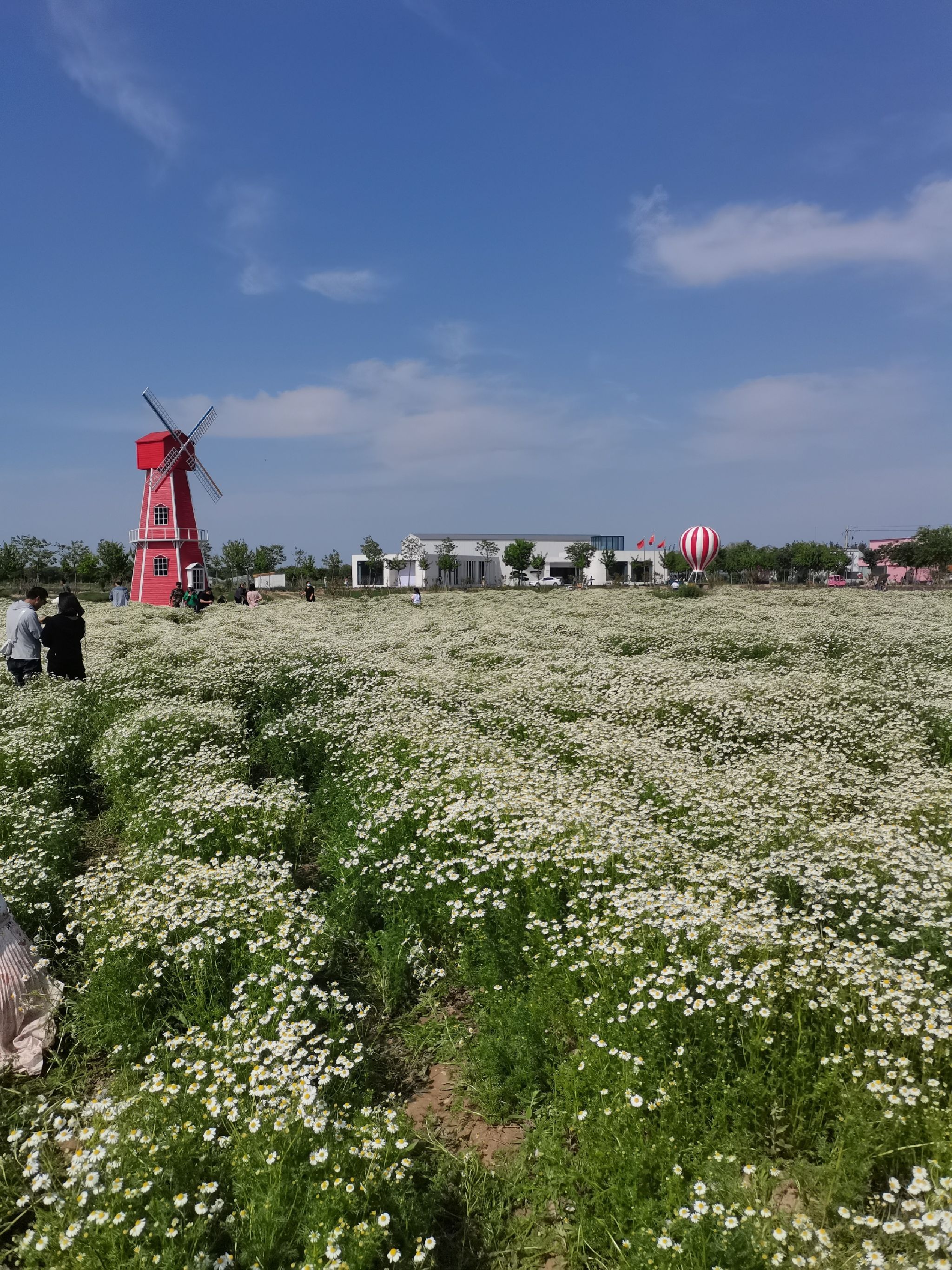 聊城芳香文化博览园旅行图片 2