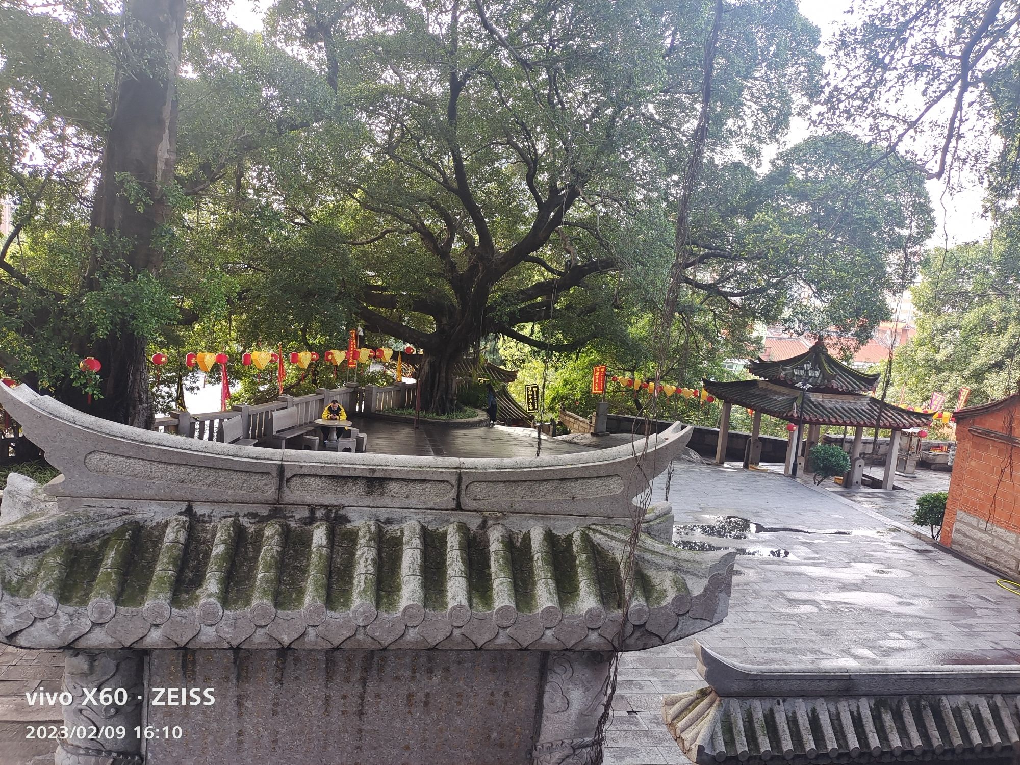 文兴码头遗址旅行图片 3