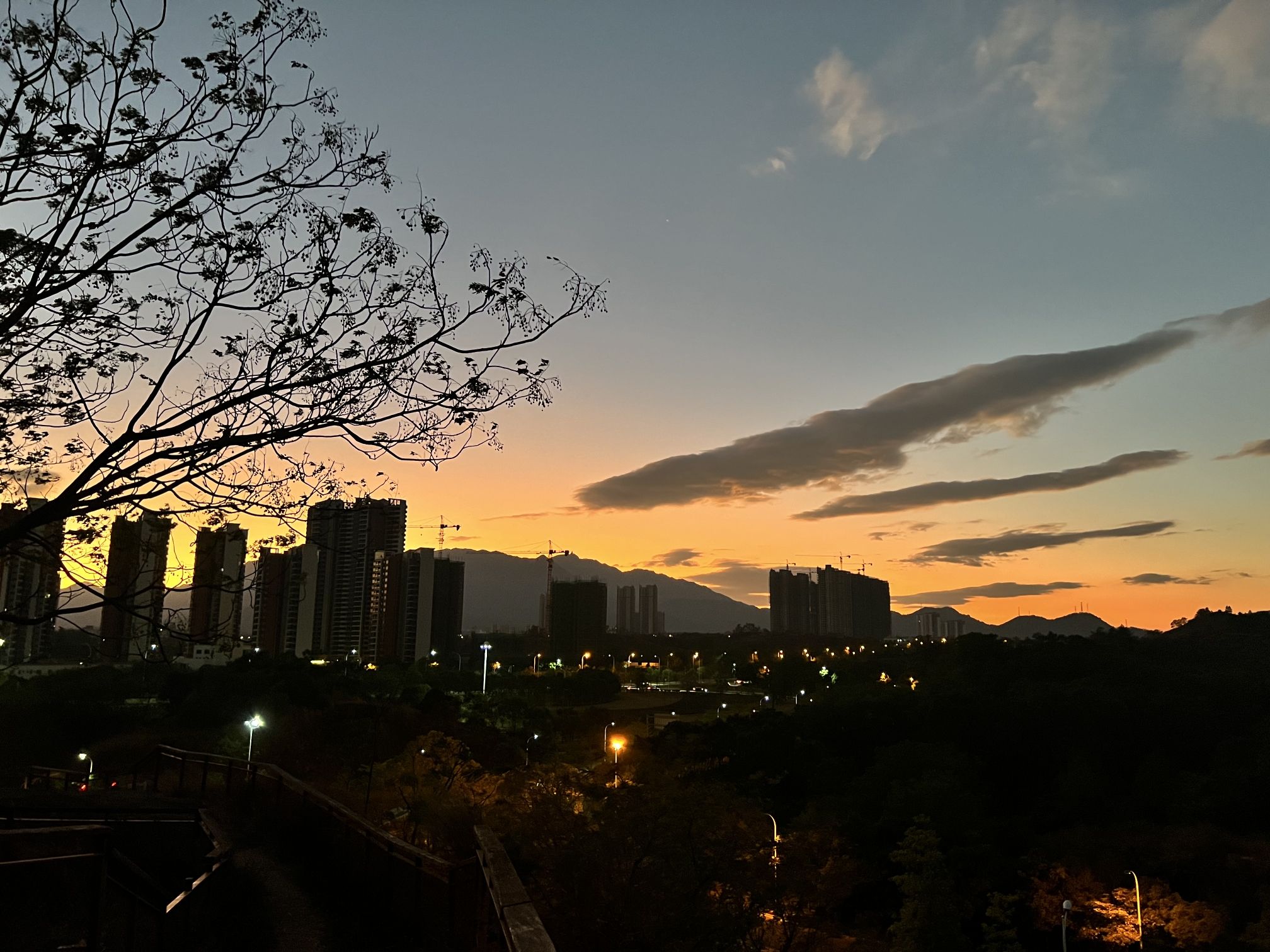 桥北公园旅行图片 3