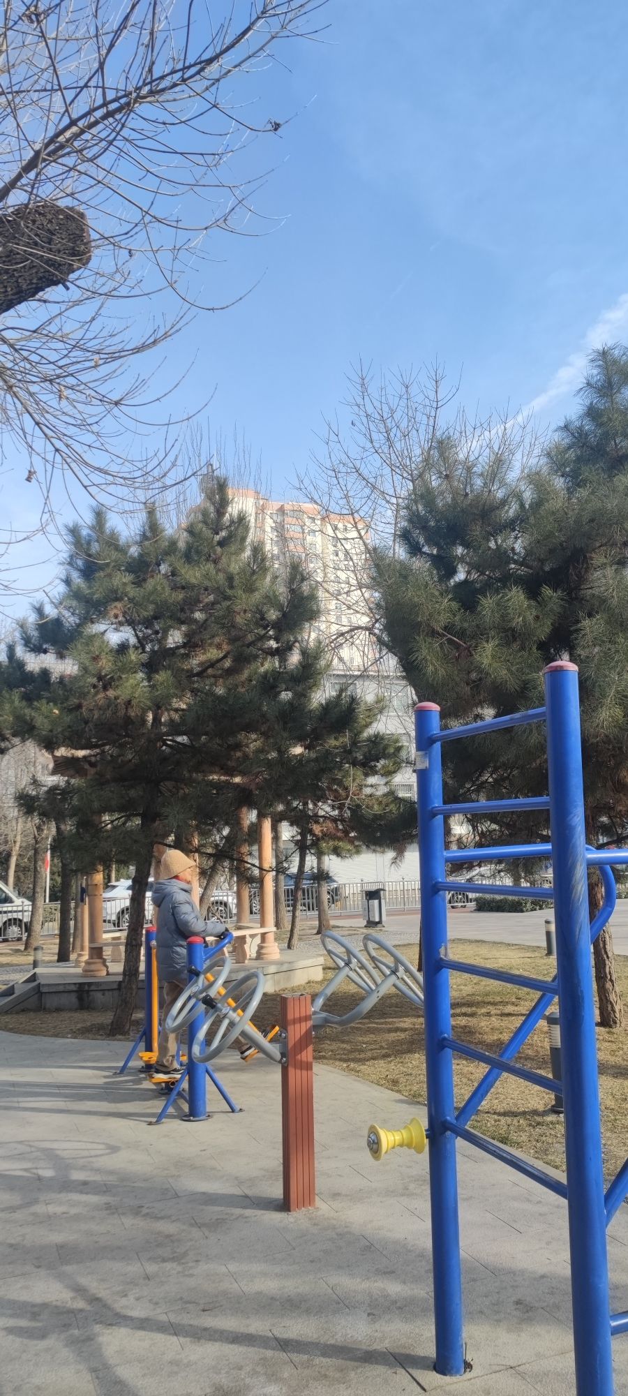 体育公园旅行图片 2