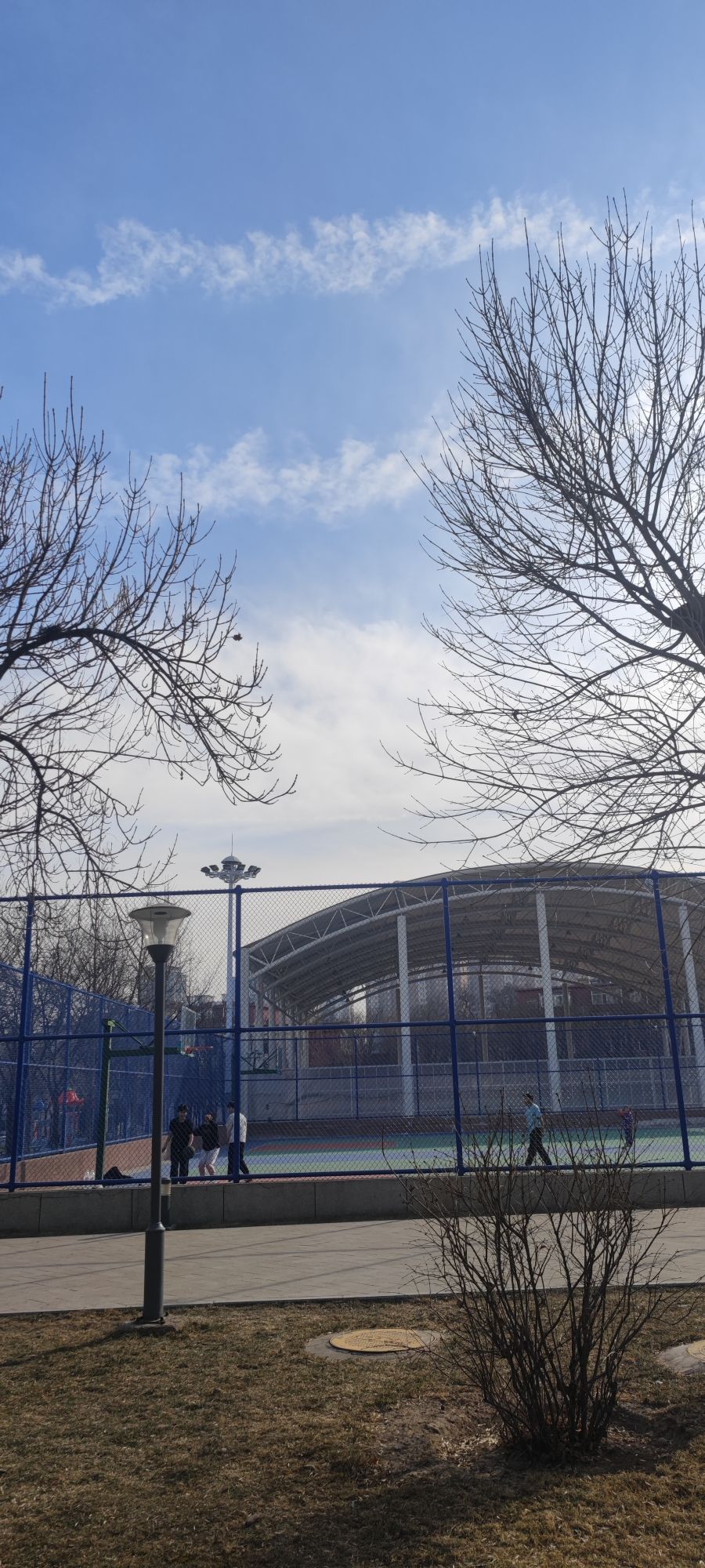 体育公园旅行图片 3