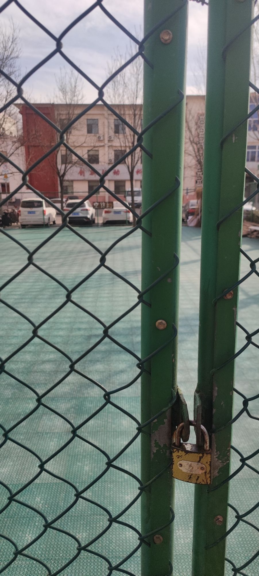 体育公园旅行图片 1