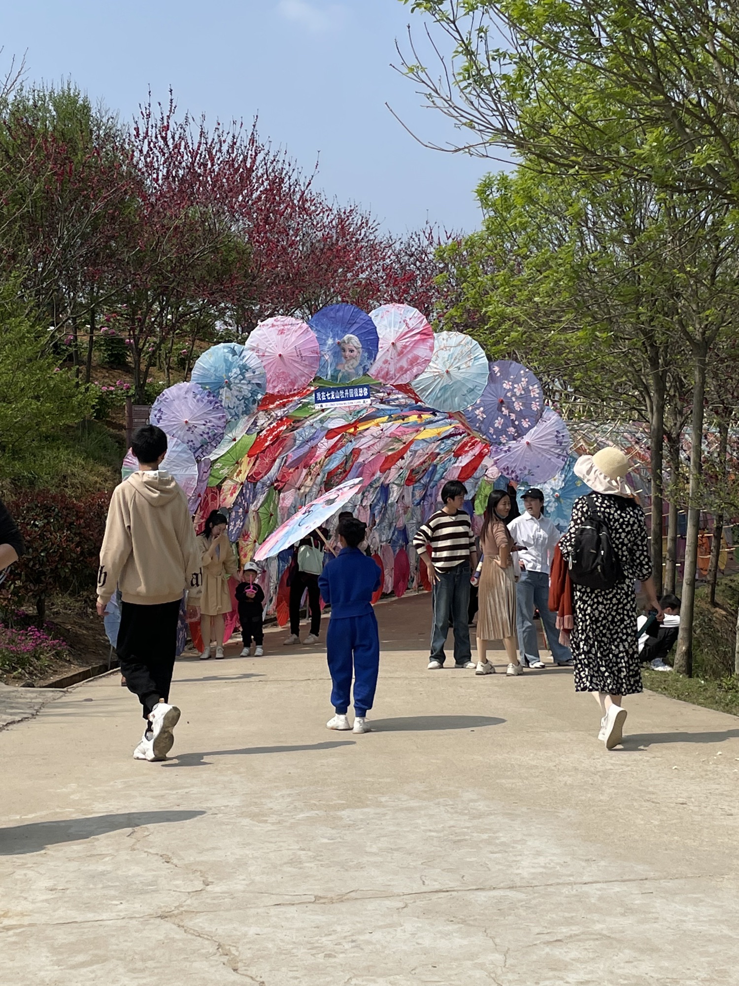 七龙山江寨风景区旅行图片 2
