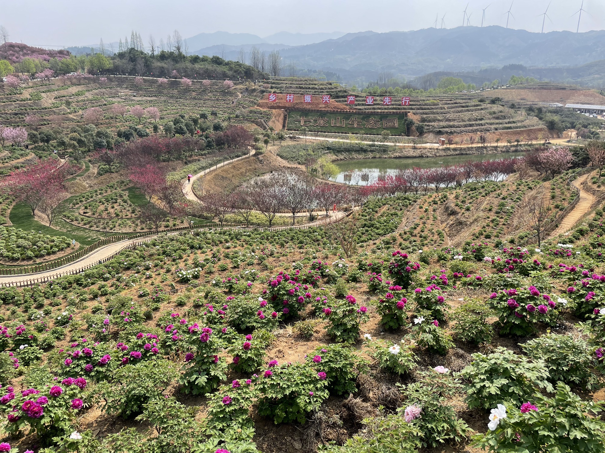 七龙山江寨风景区旅行图片 1