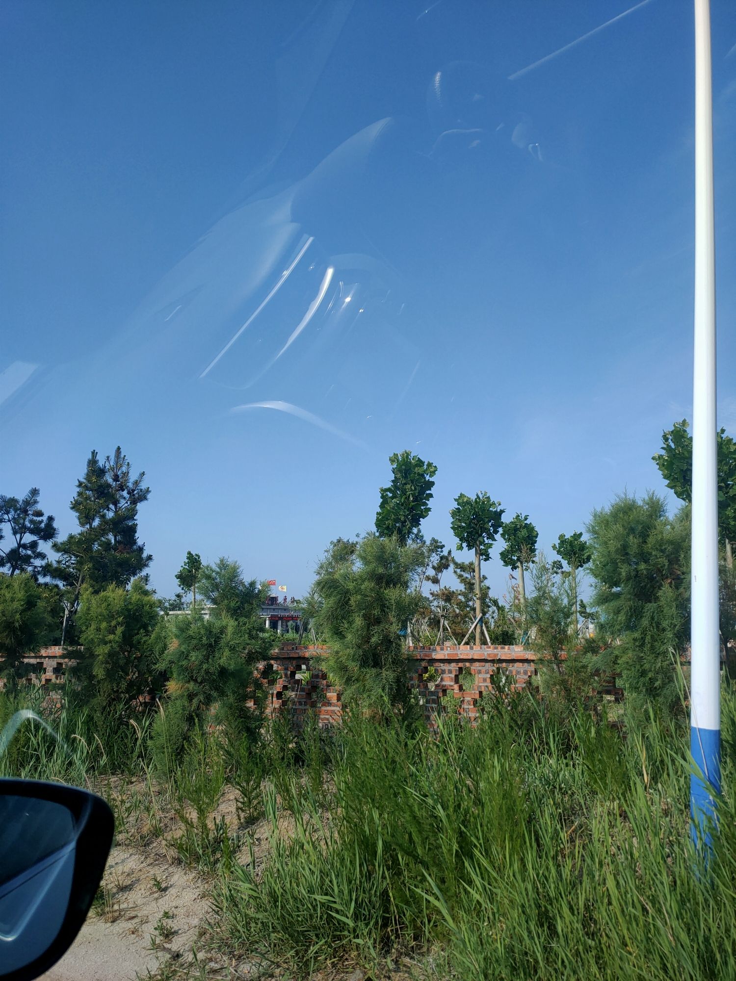 黄河口知青小镇旅行图片 1