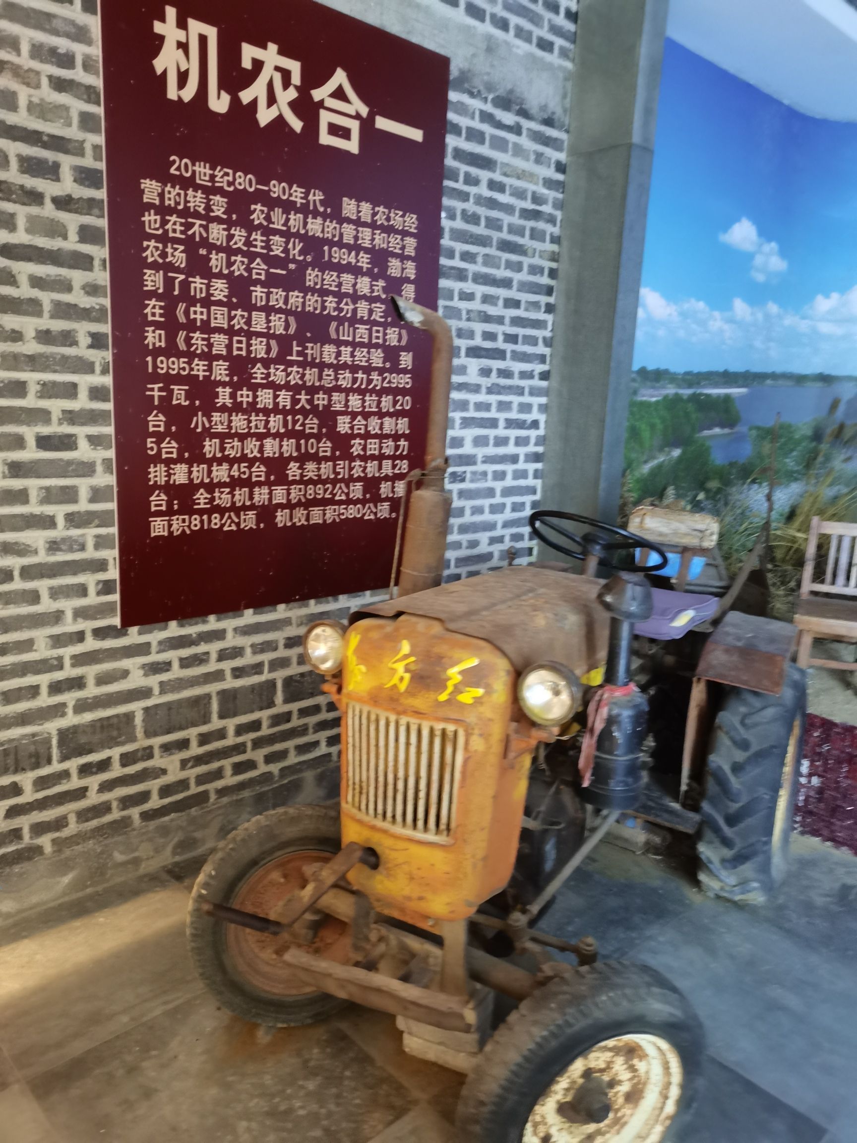 黄河口知青小镇旅行图片 3