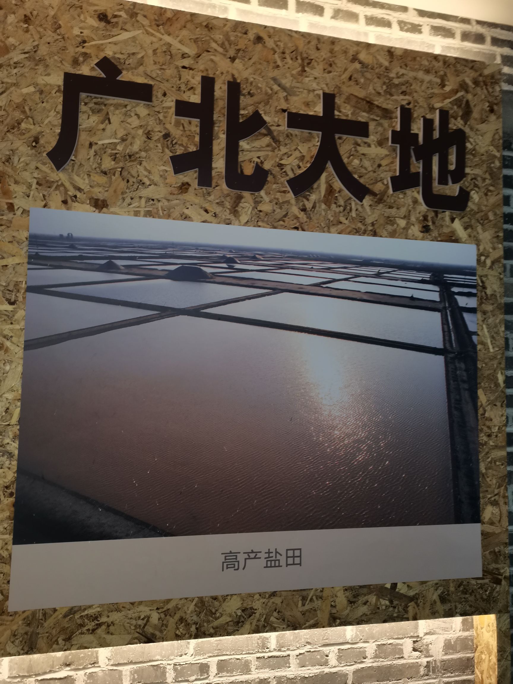 黄河口知青小镇旅行图片 2