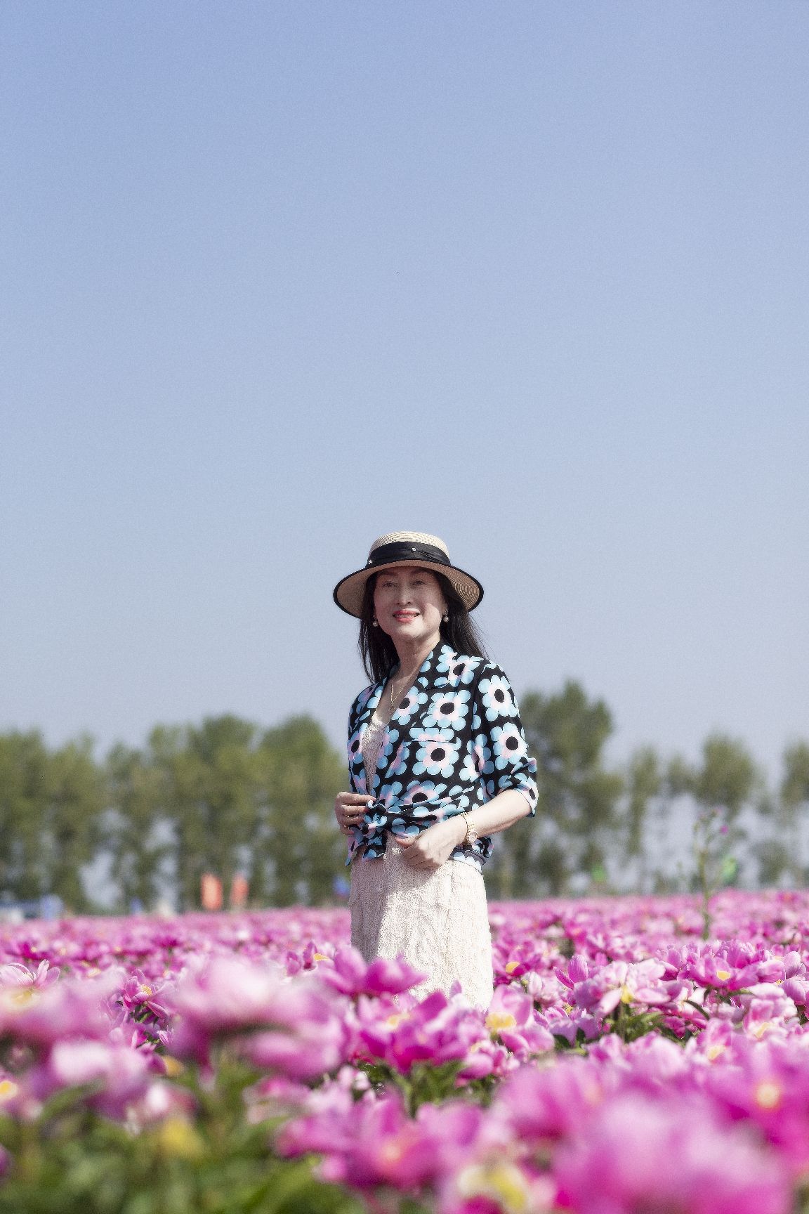 八井子芍药园旅行图片 1