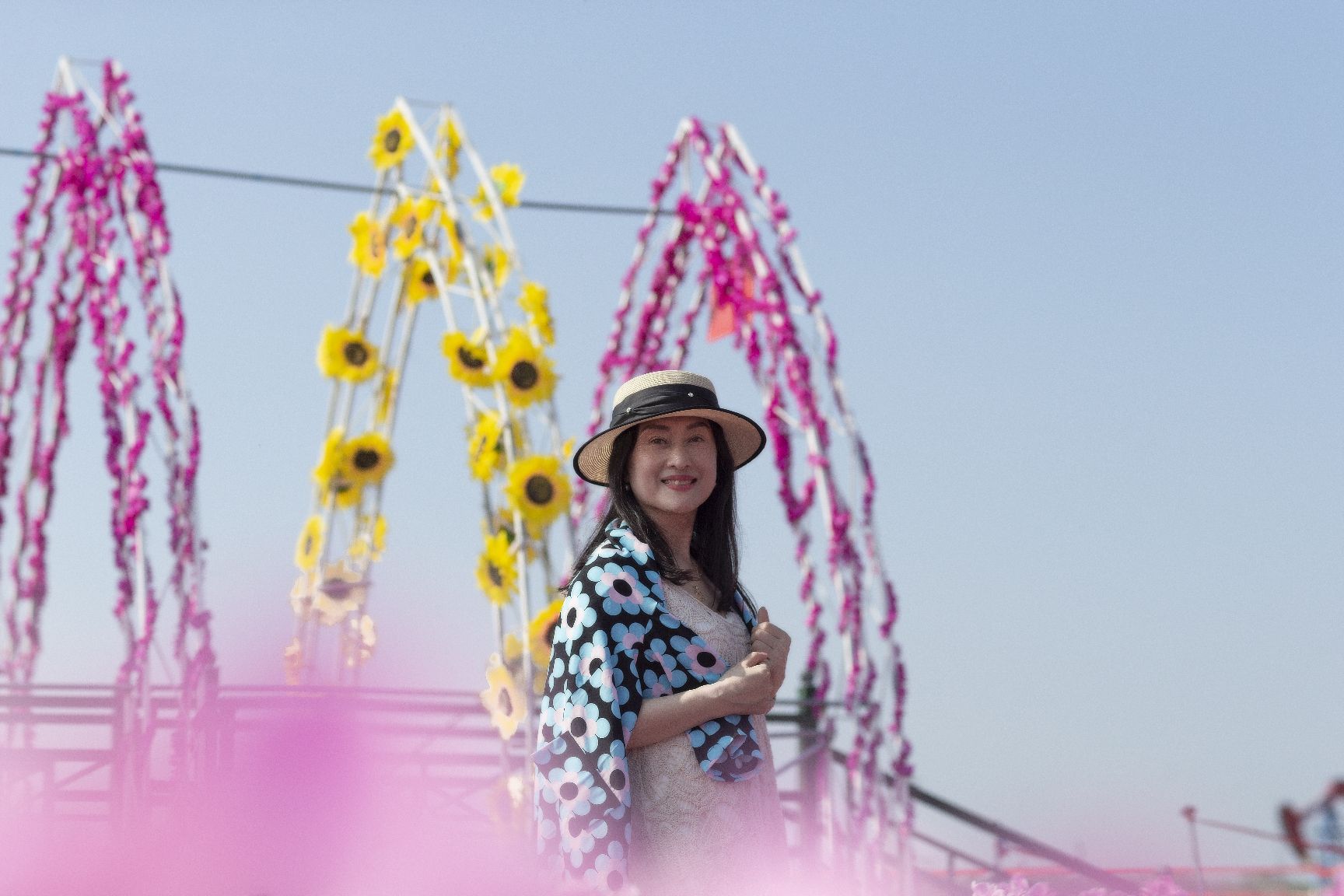 八井子芍药园旅行图片 2