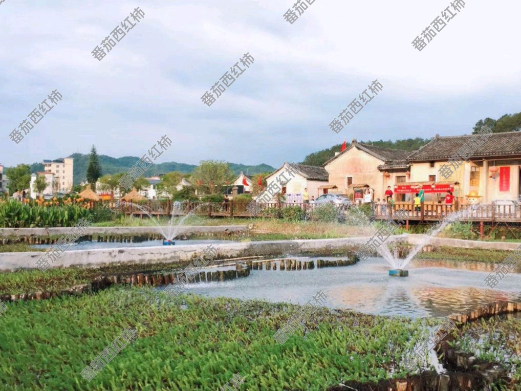 大埔西河北塘乡村旅游区旅行图片 1