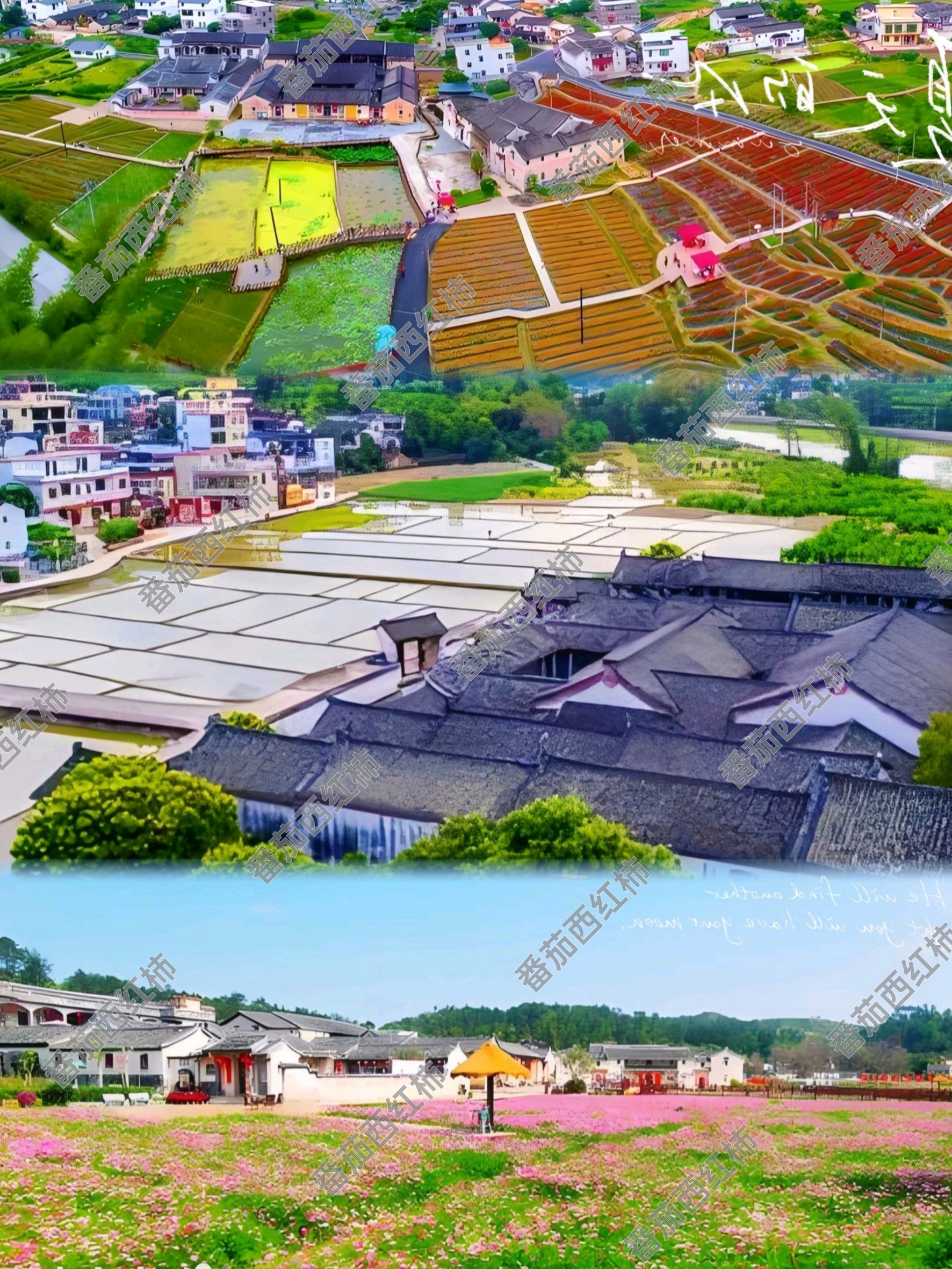 大埔西河北塘乡村旅游区旅行图片 2