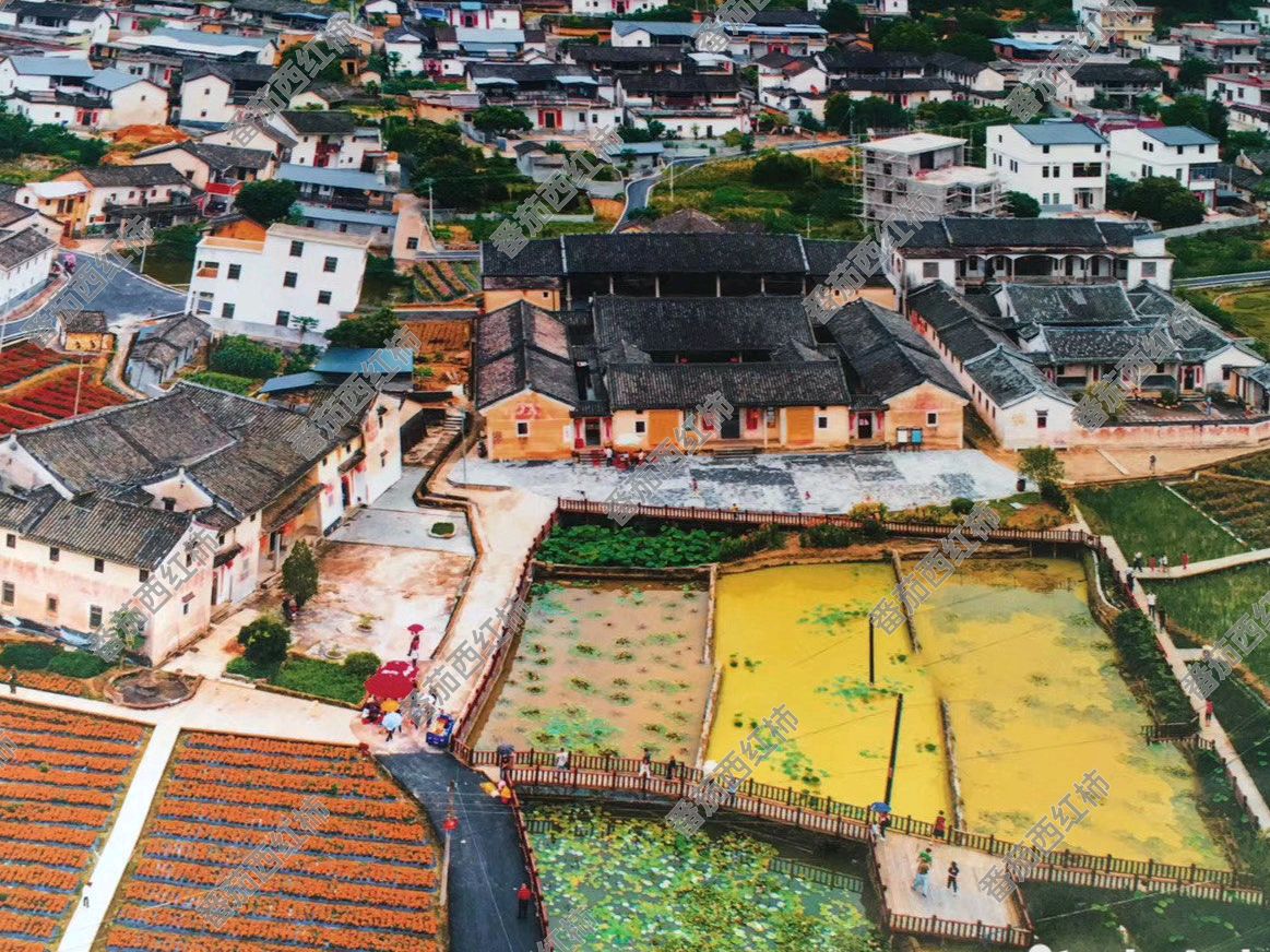 大埔西河北塘乡村旅游区旅行图片 3