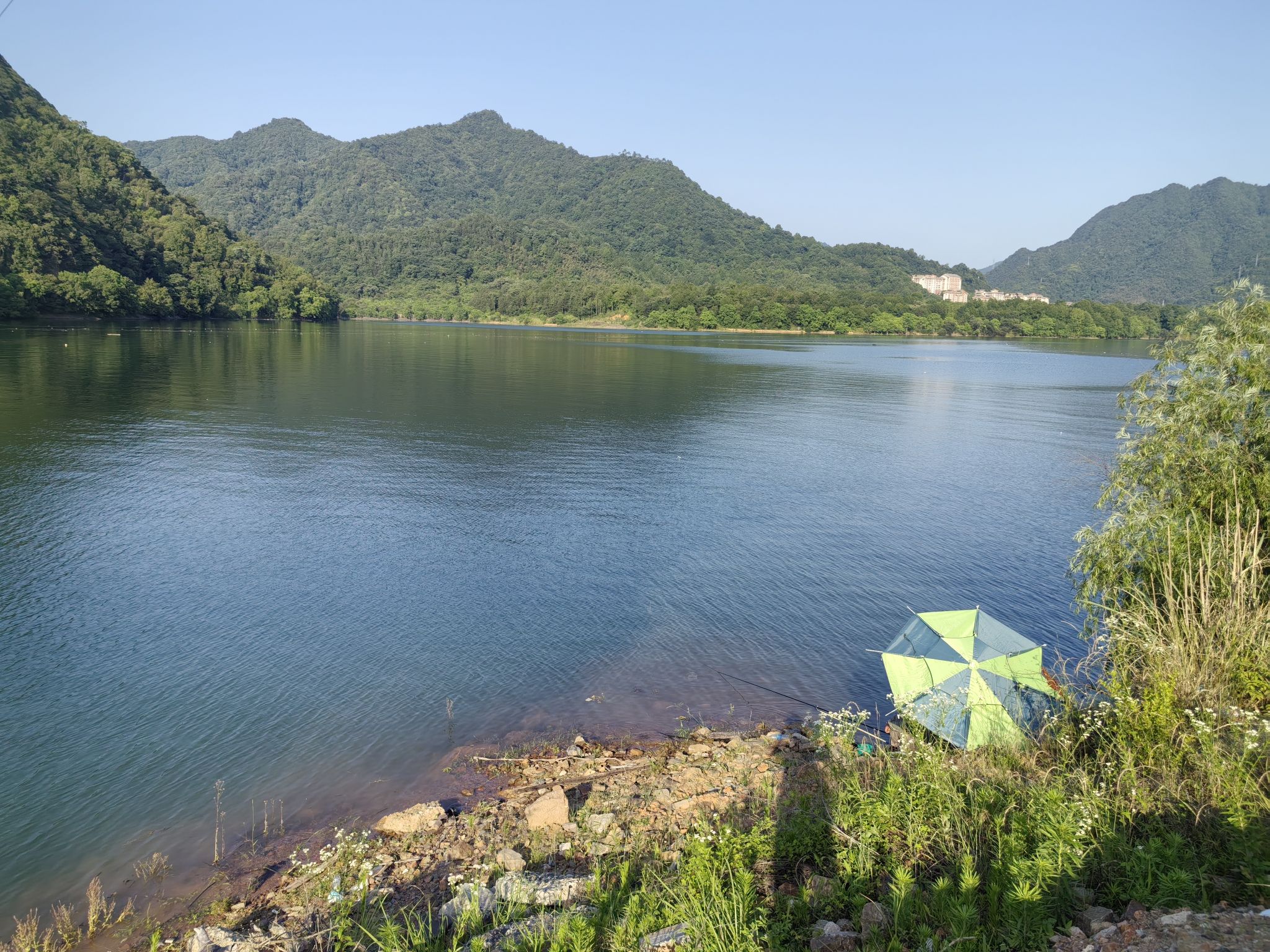 太平湖共幸野钓钓场
