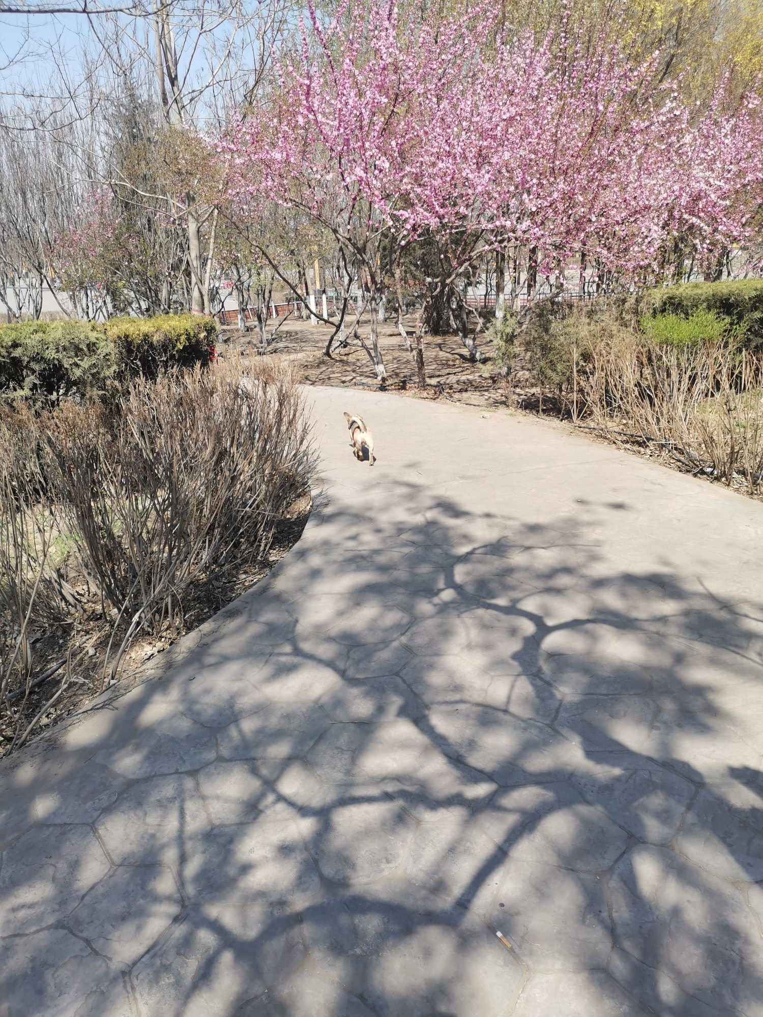 健康主题广场旅行图片 3