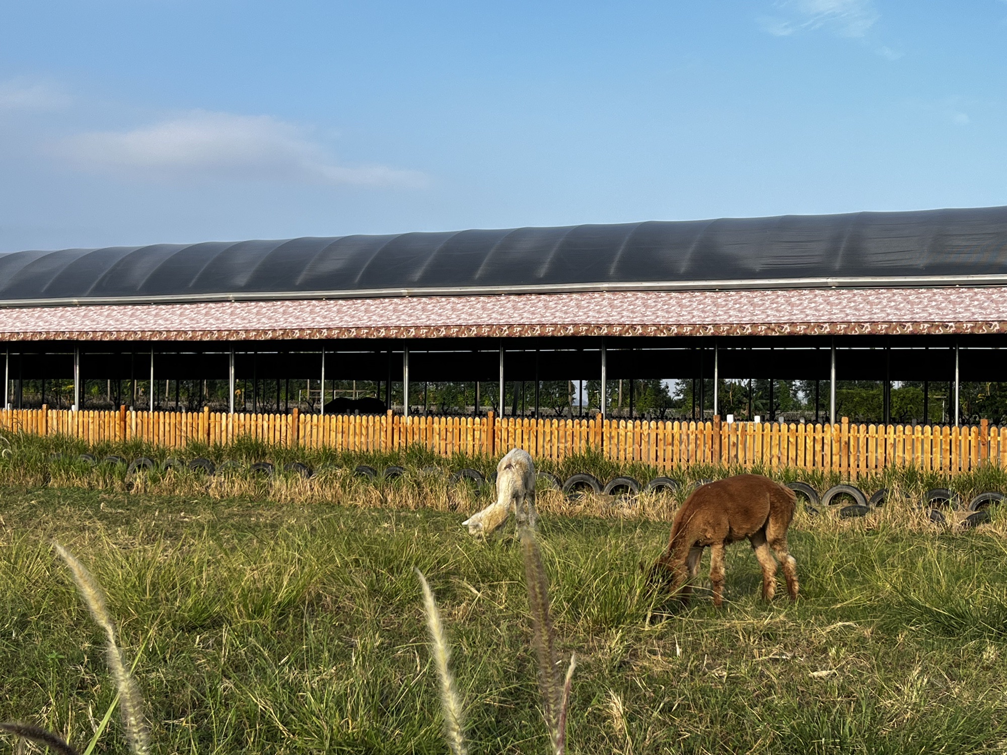 田园部落生态农业