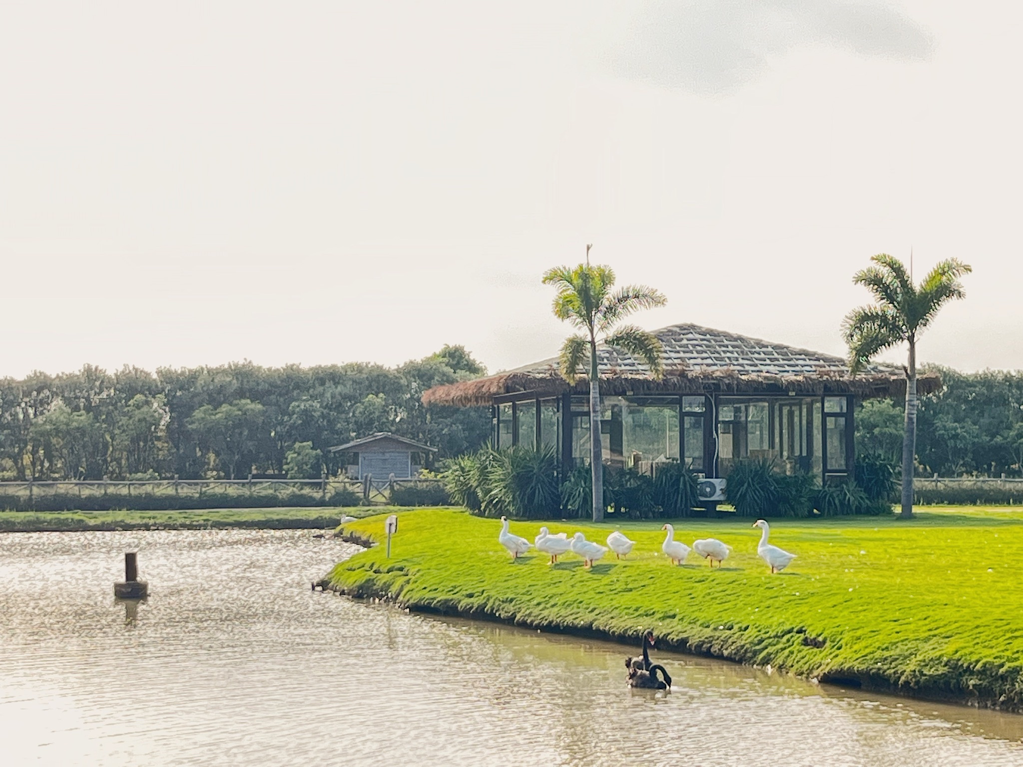 田园部落生态农业