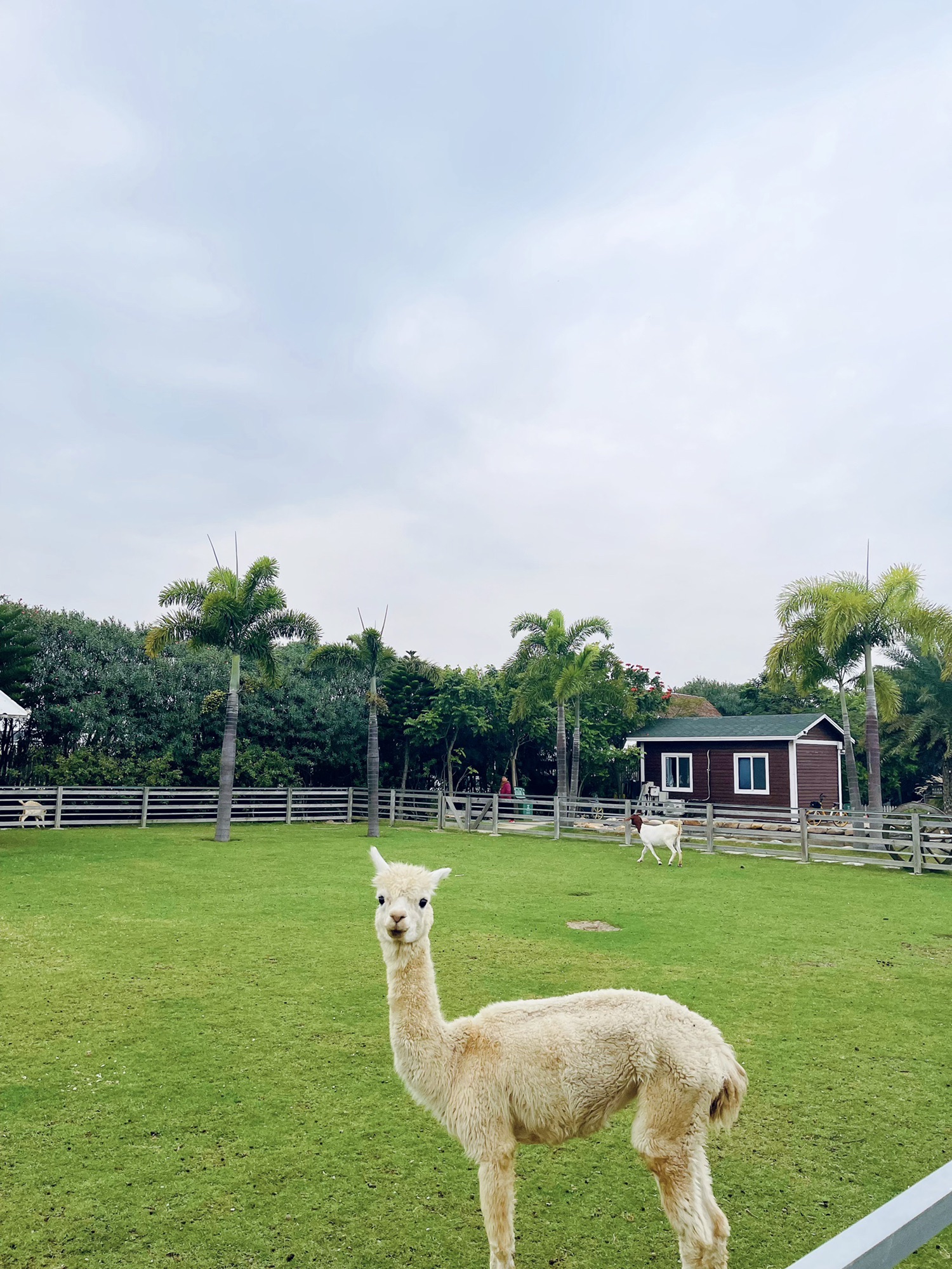 田园部落生态农业