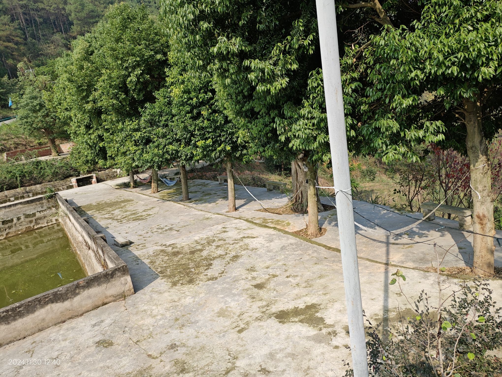 香炉山樱花谷旅行图片 3
