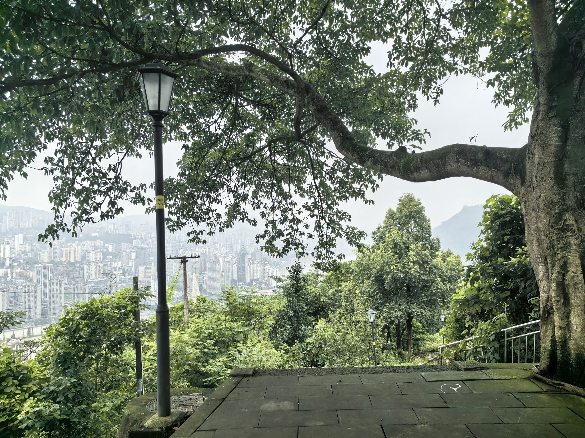 插旗山果林公园旅行图片 2