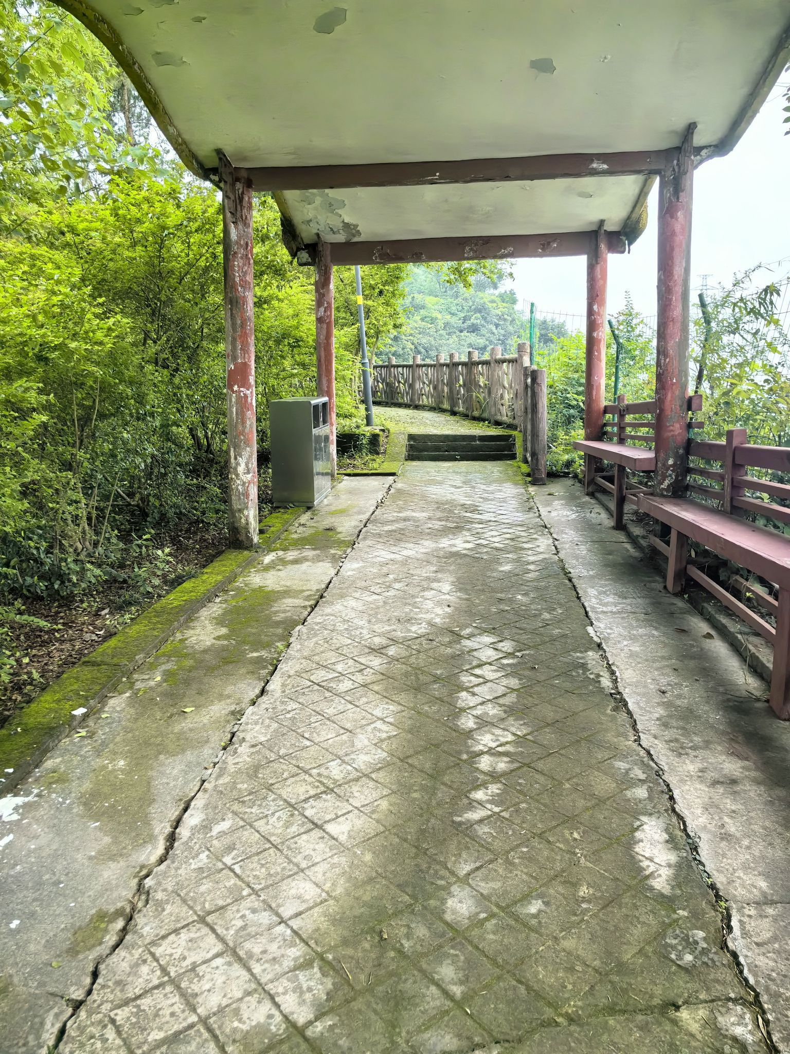 插旗山果林公园旅行图片 3