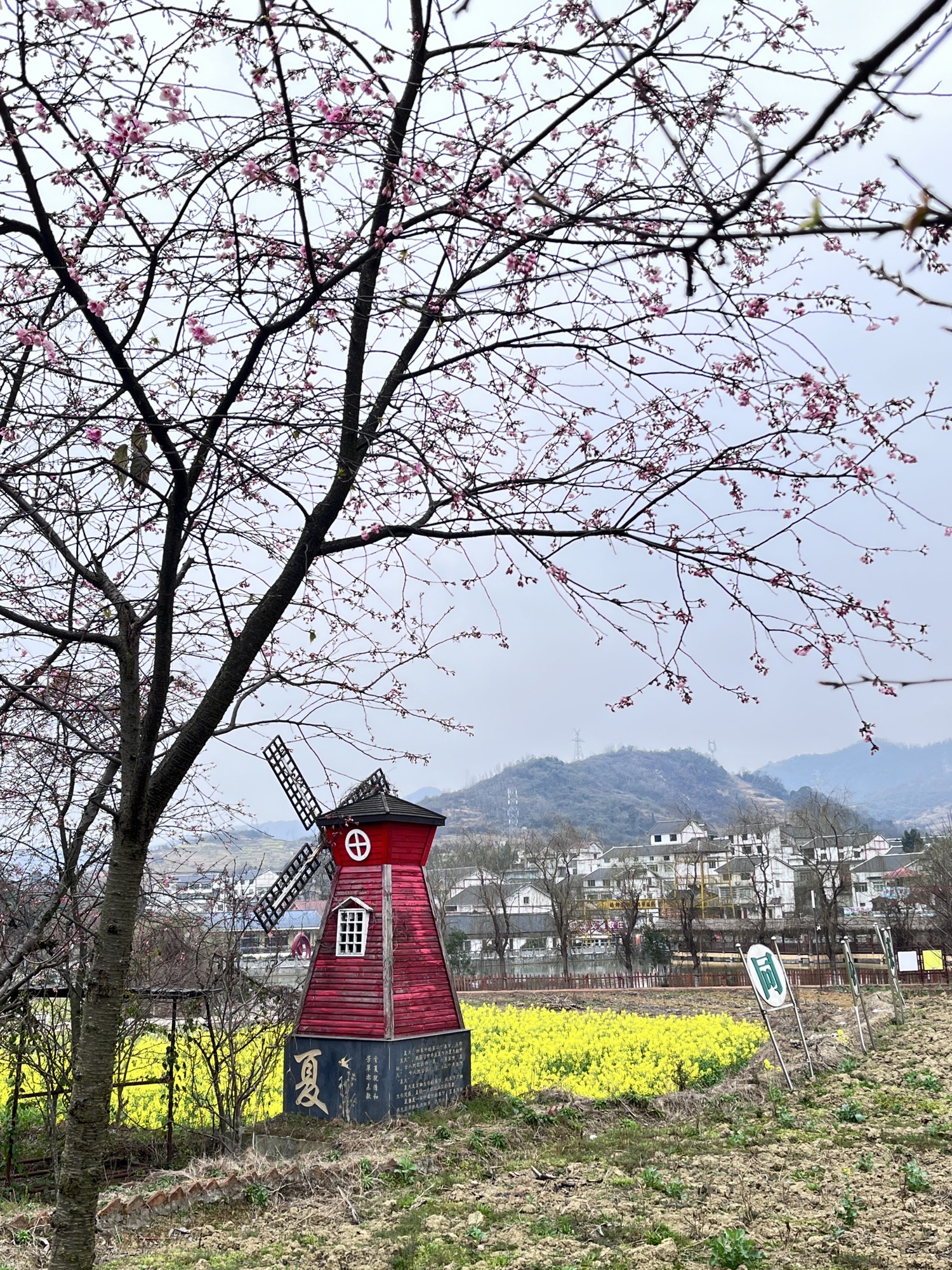 铜钱广场旅行图片 2