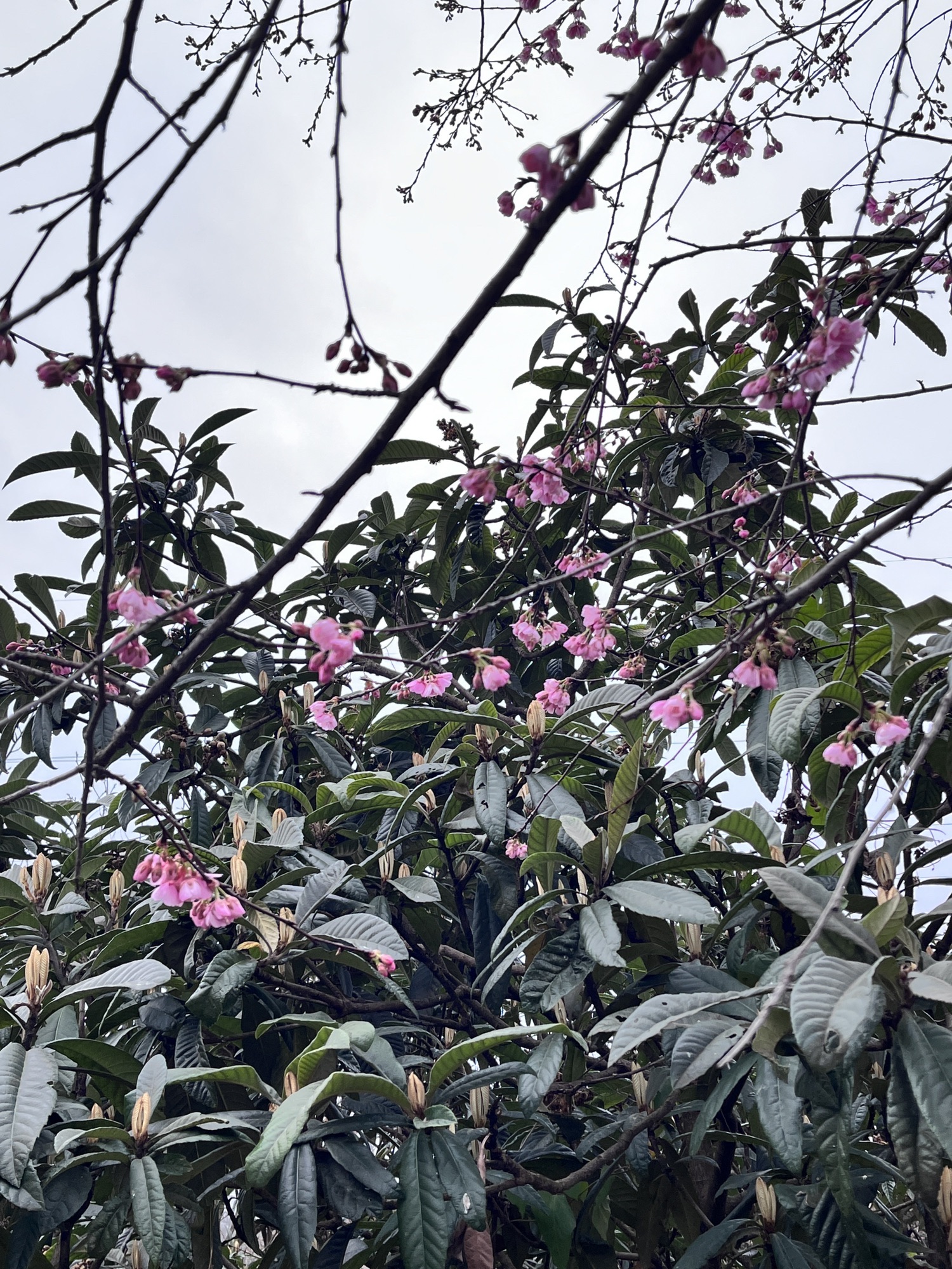 铜钱广场旅行图片 3