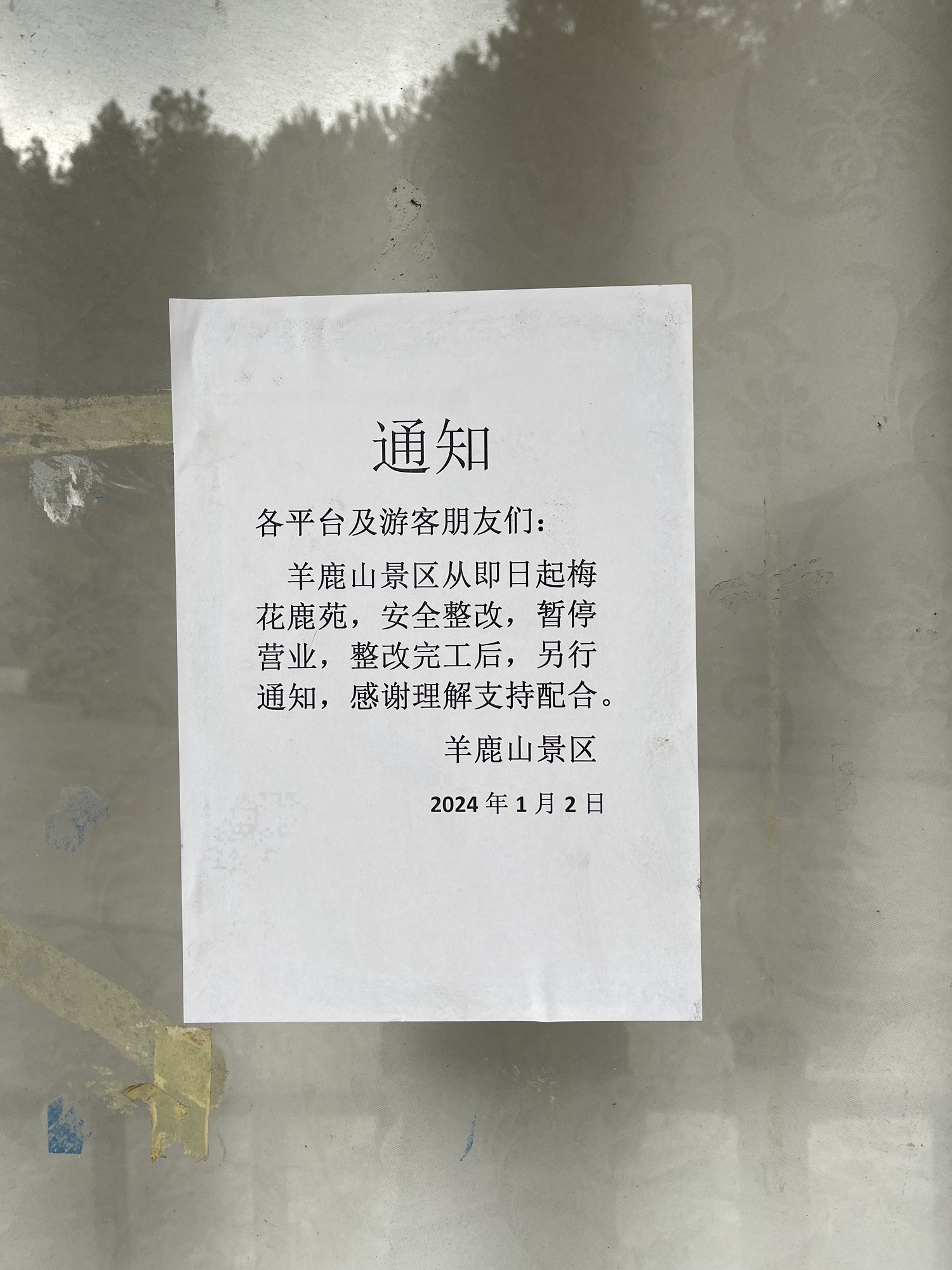 梅花鹿苑旅行图片 1