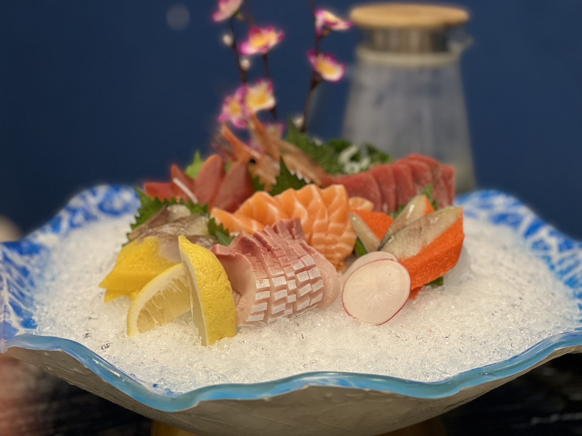 海鱼1号