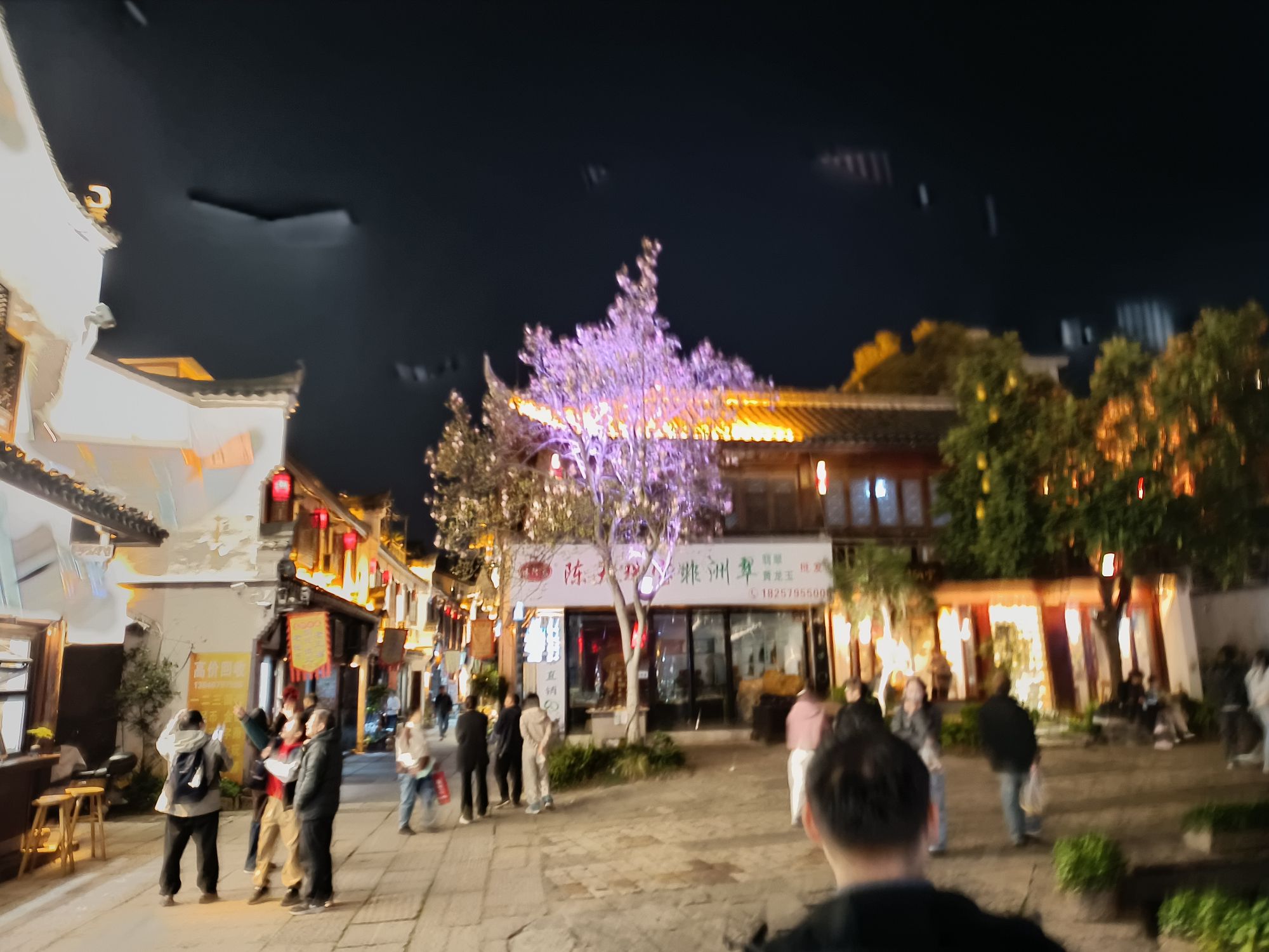 婺州古城景区旅行图片 2