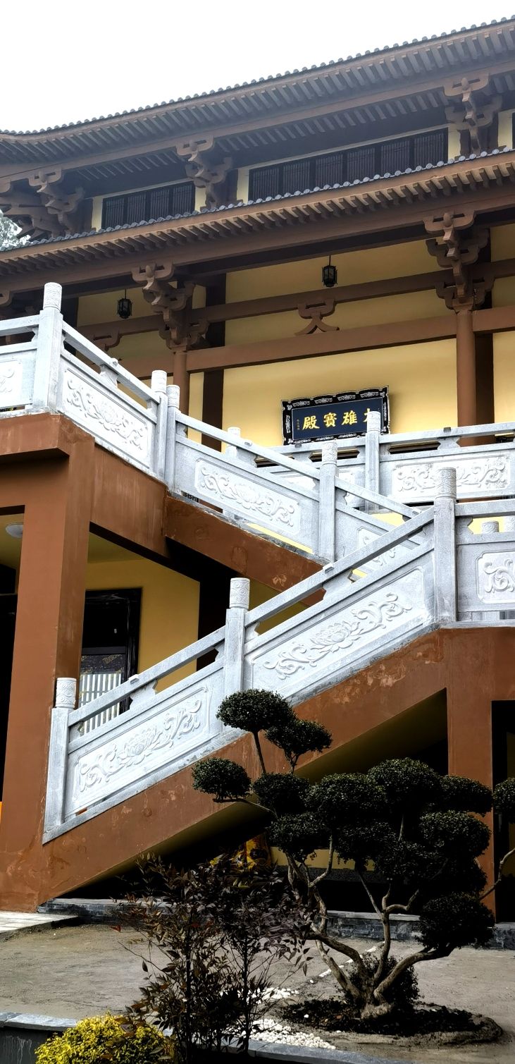 九仙岭森林公园-阳居寺