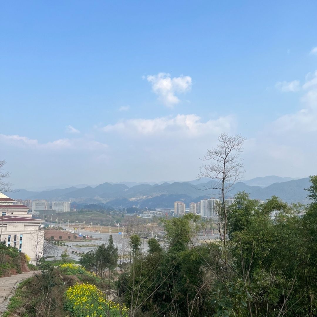 打纸岩森林公园旅行图片 1