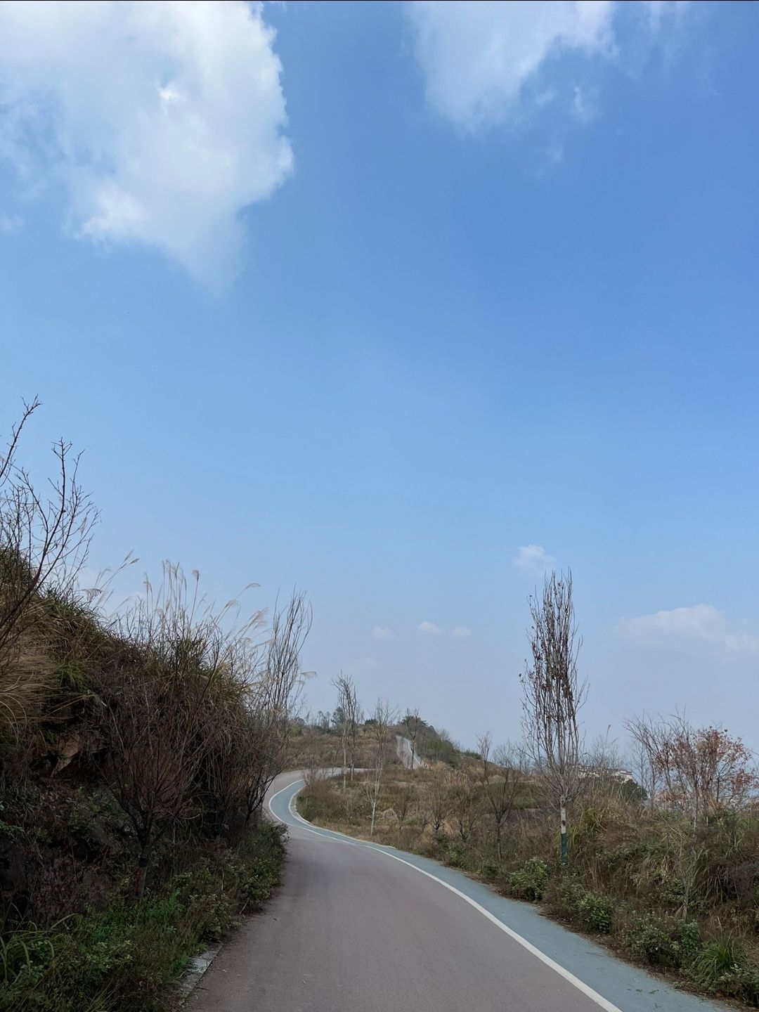 打纸岩森林公园旅行图片 2