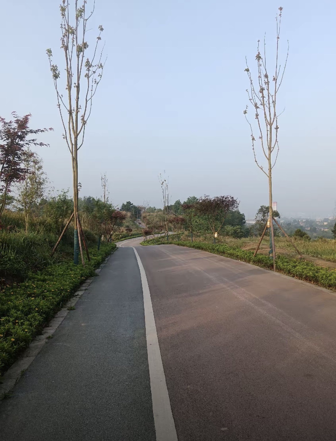 打纸岩森林公园旅行图片 3