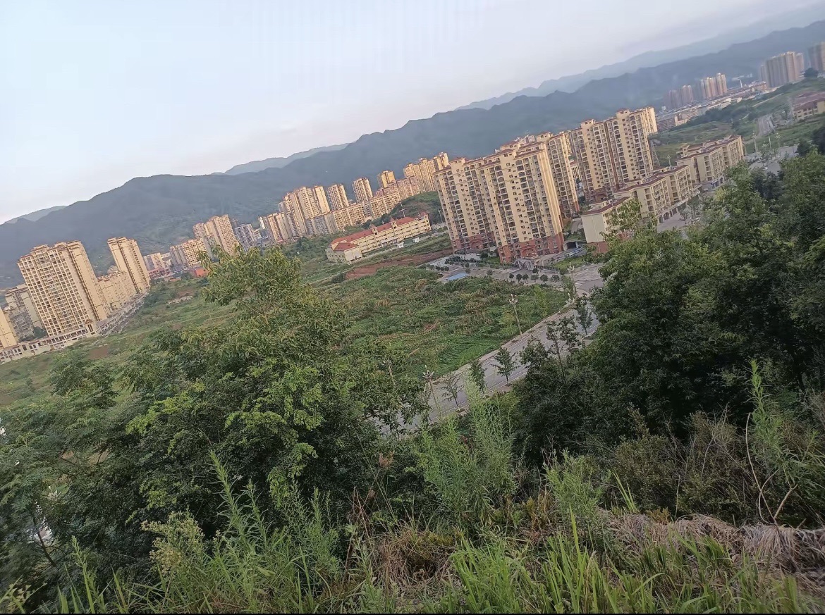 打纸岩森林公园旅行图片 2