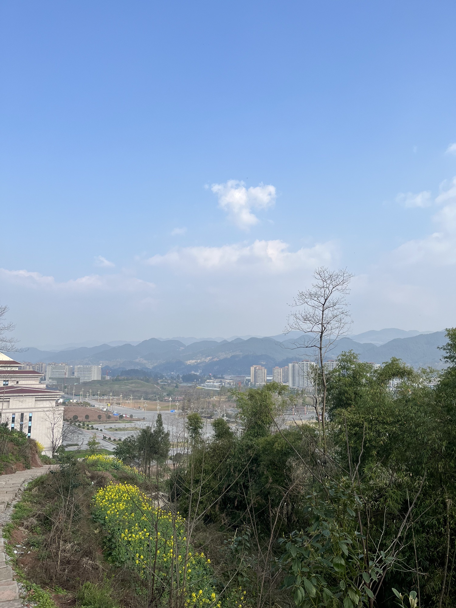 打纸岩森林公园