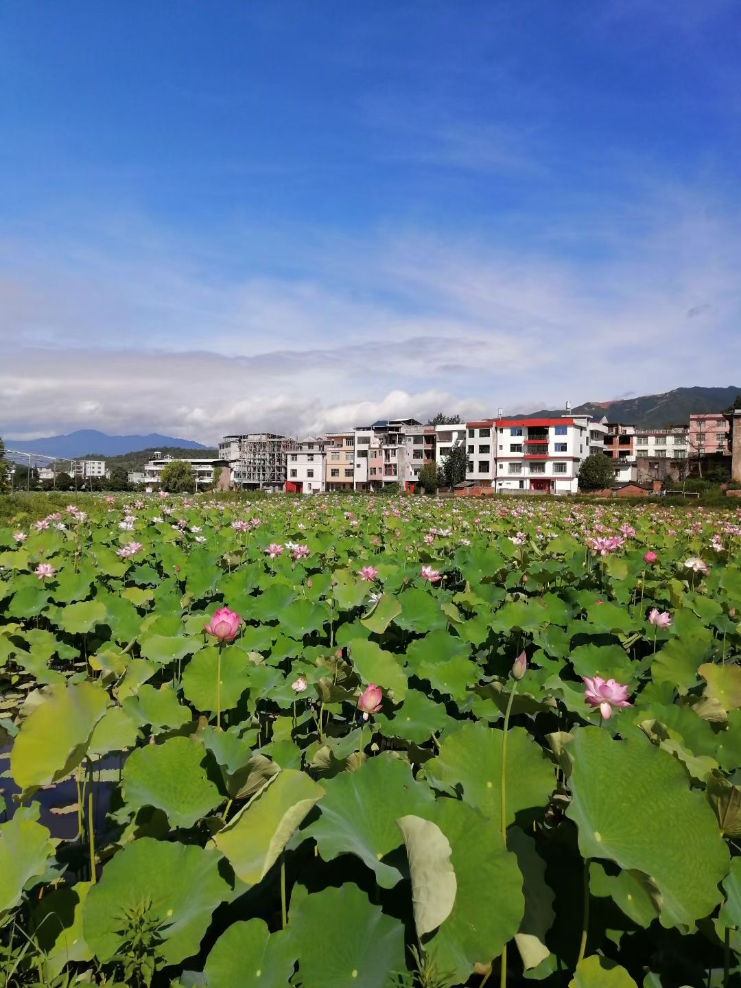 冷泉小镇旅行图片 3
