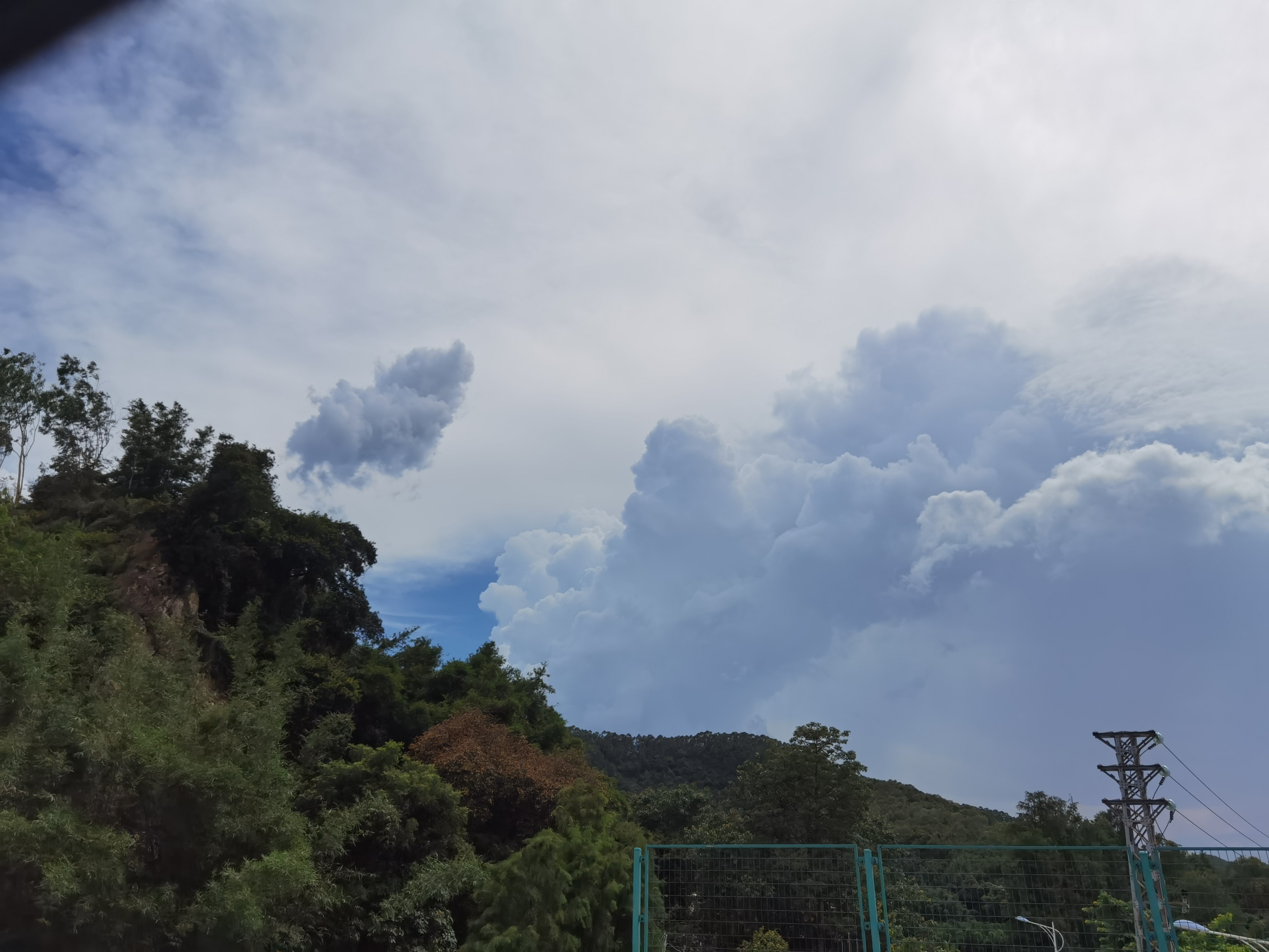 紫罗山森林公园旅行图片 2