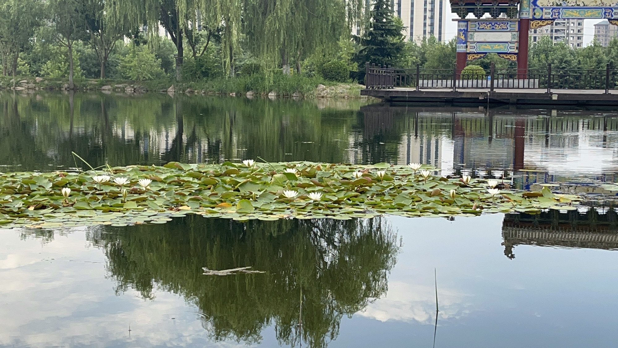 永乐宫-芮城县城北公园
