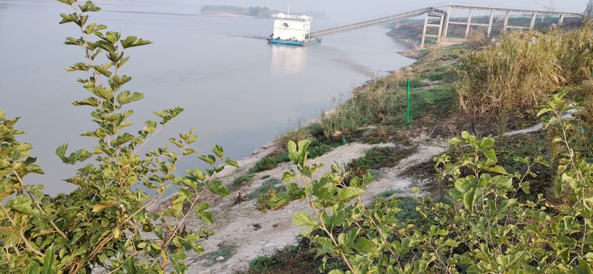 湖南书院洲国家湿地公园旅行图片 2