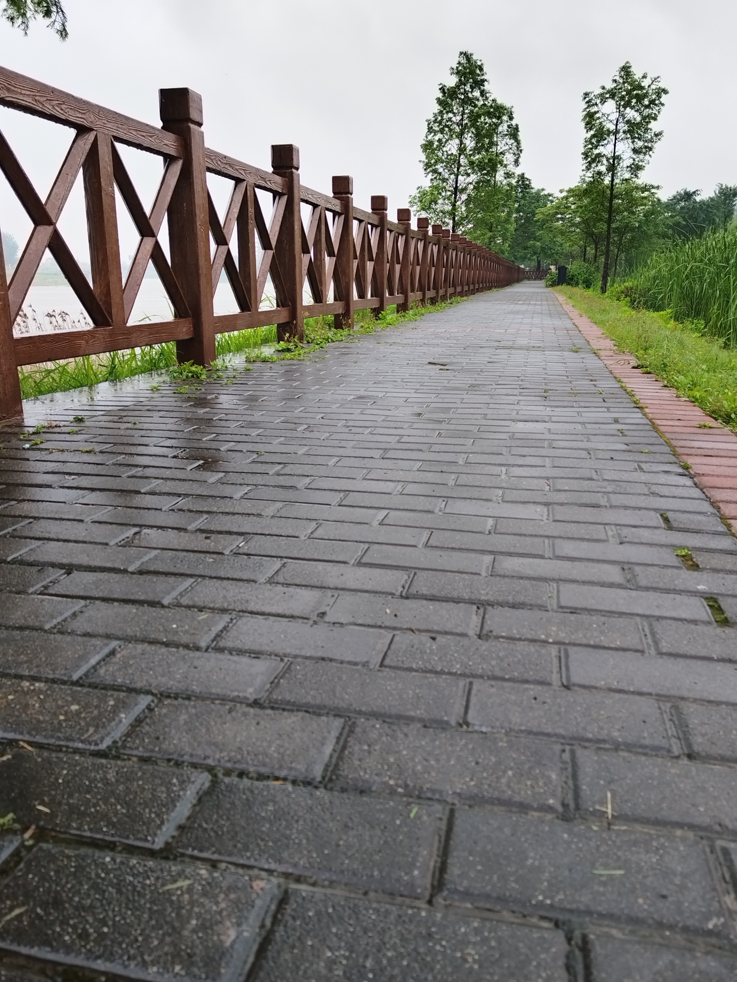 湖南书院洲国家湿地公园旅行图片 2
