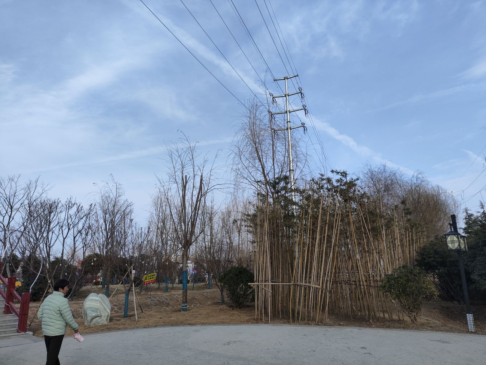苏子读书园旅行图片 2