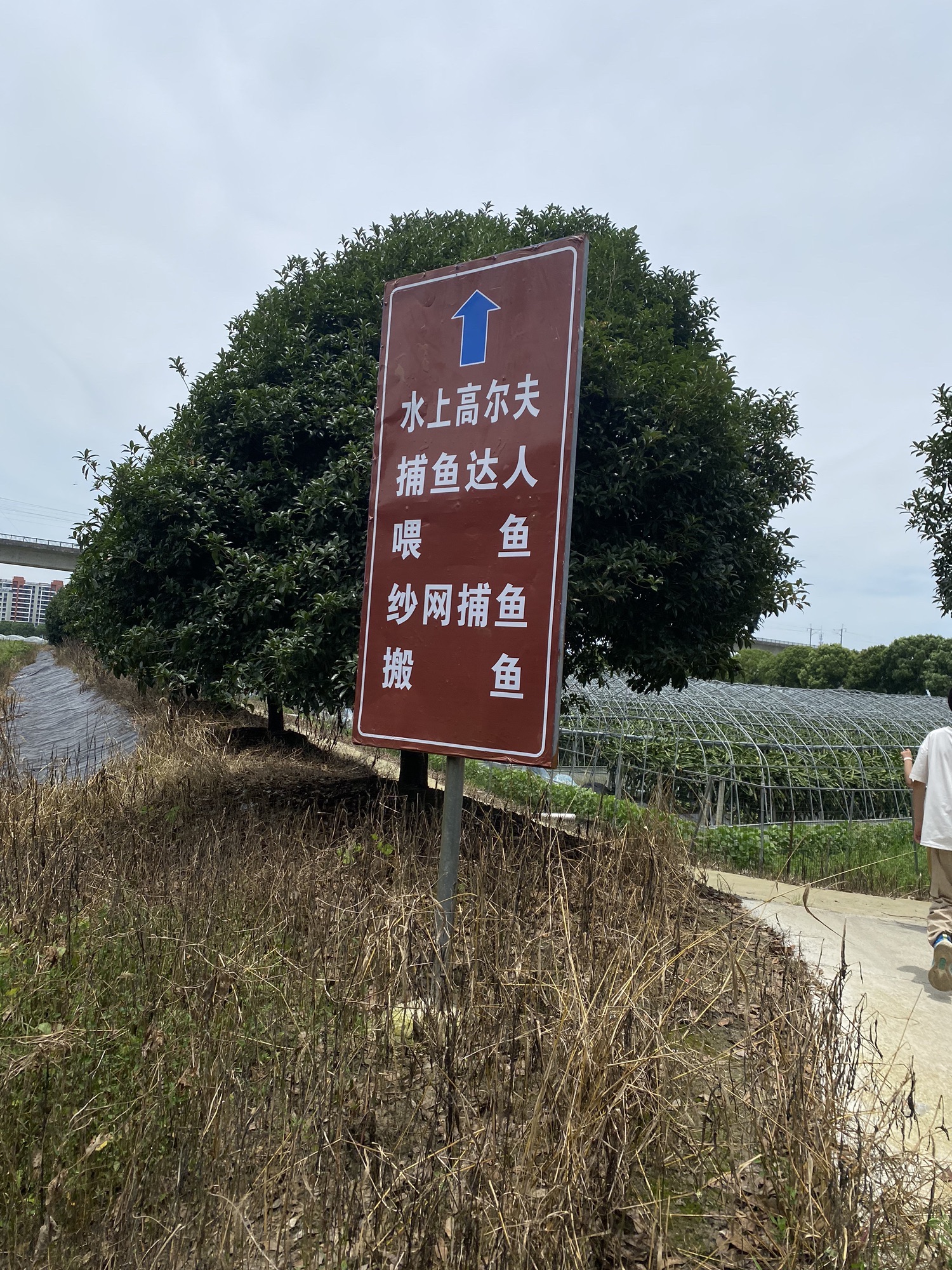 大眼睛景区旅行图片 3