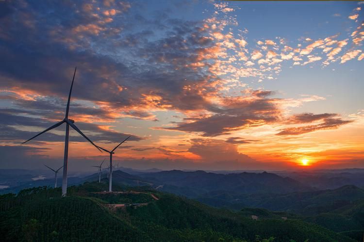 六景霞义山滑翔基地旅行图片 1