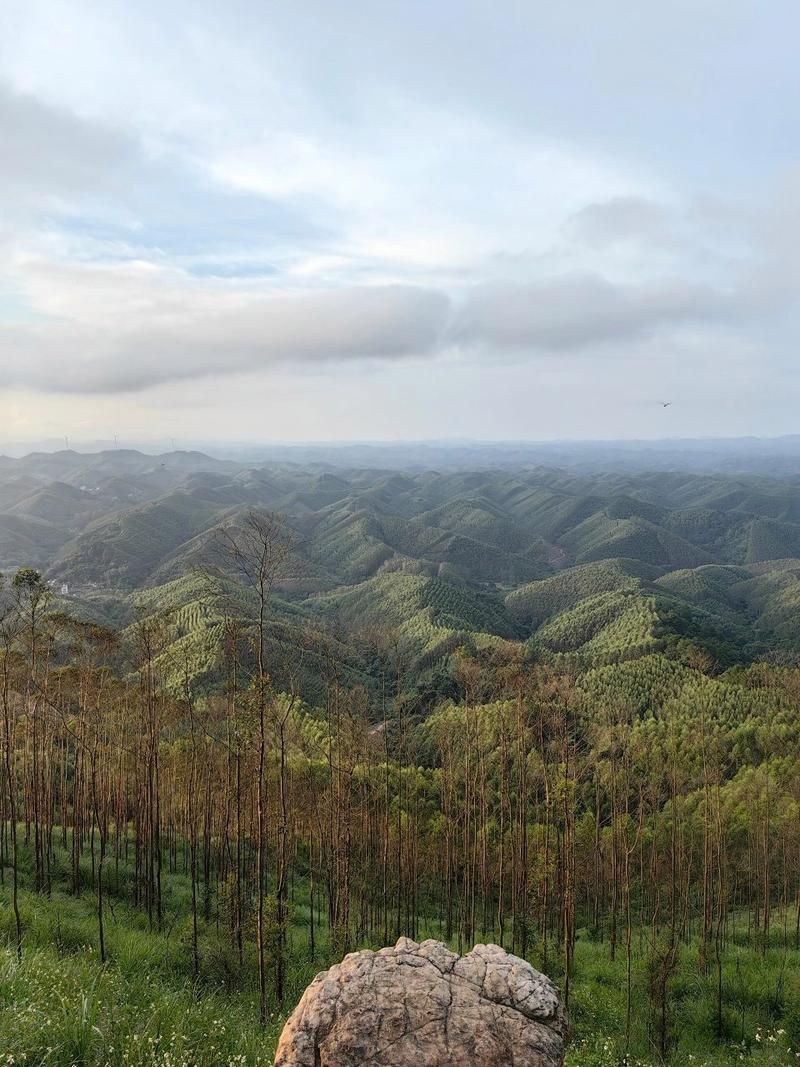 六景霞义山滑翔基地旅行图片 3