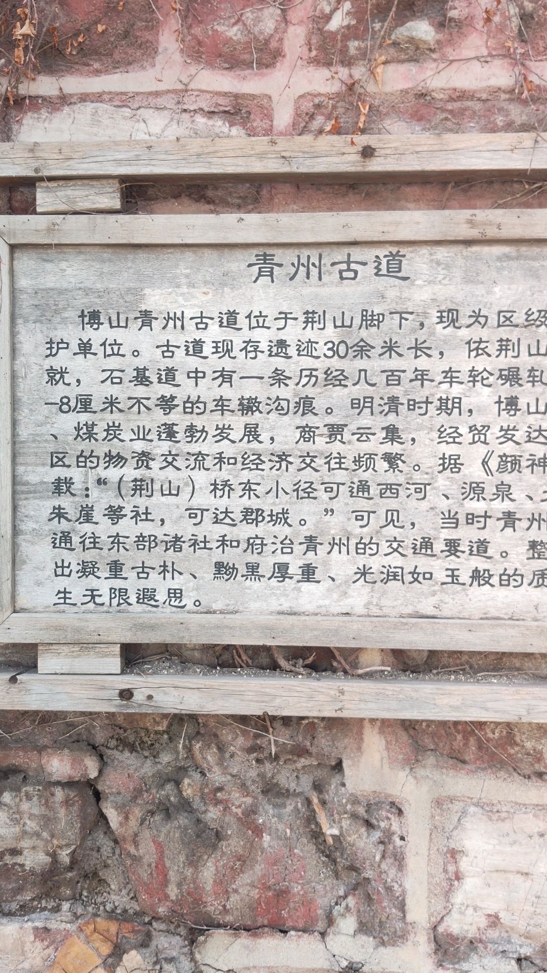 青州古道旅行图片 2